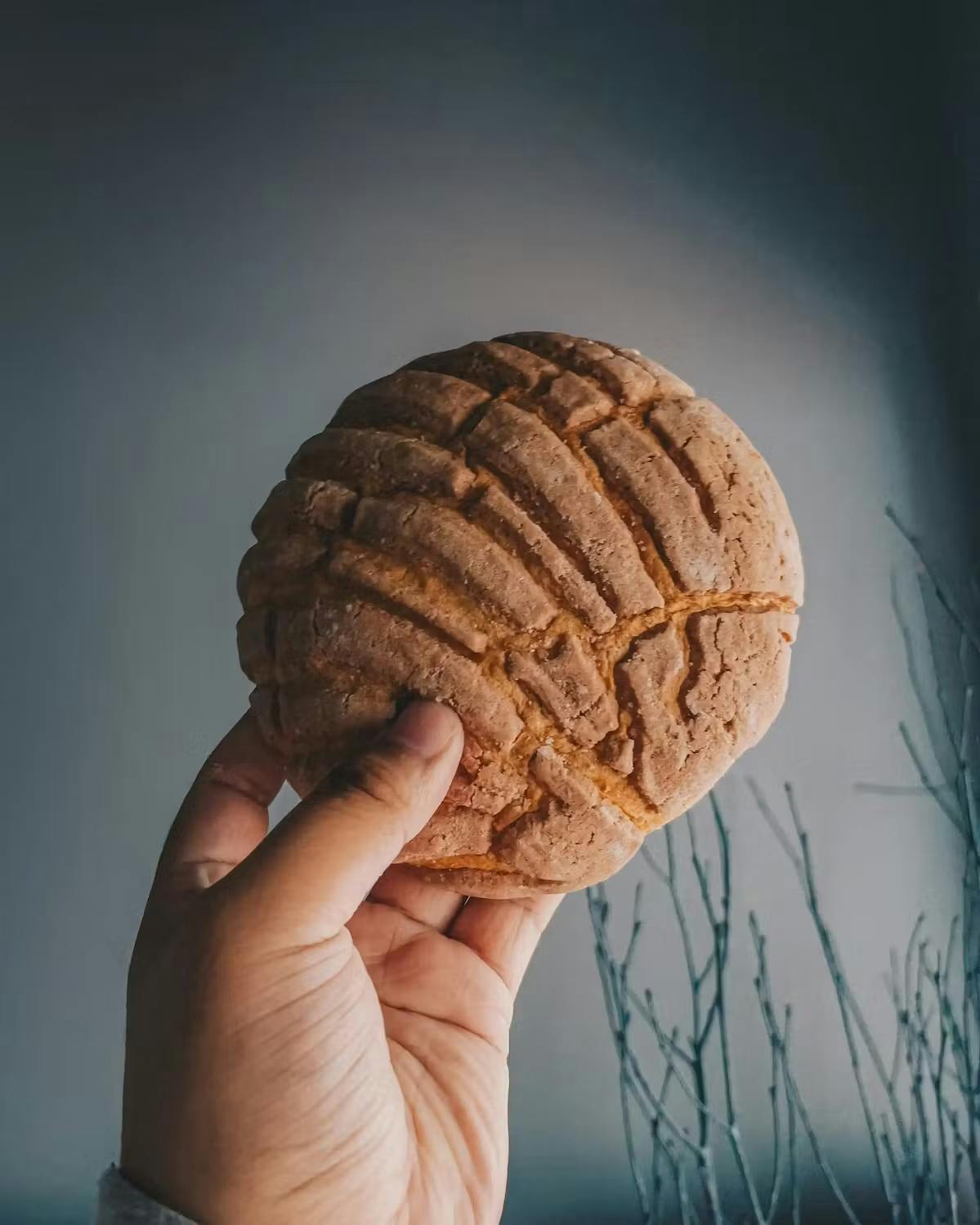 Mexican "Concha" Bread