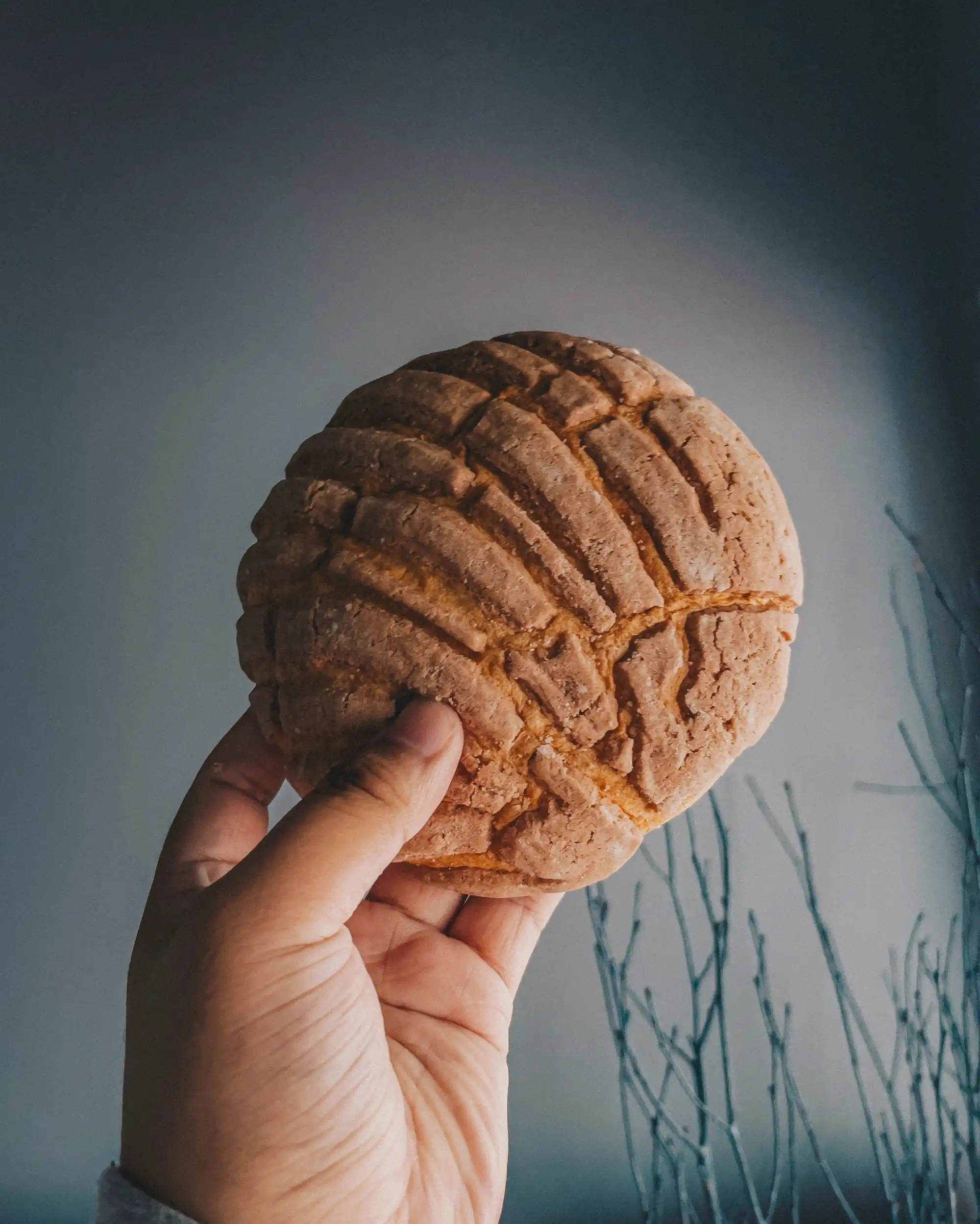 Mexican "Concha" Bread