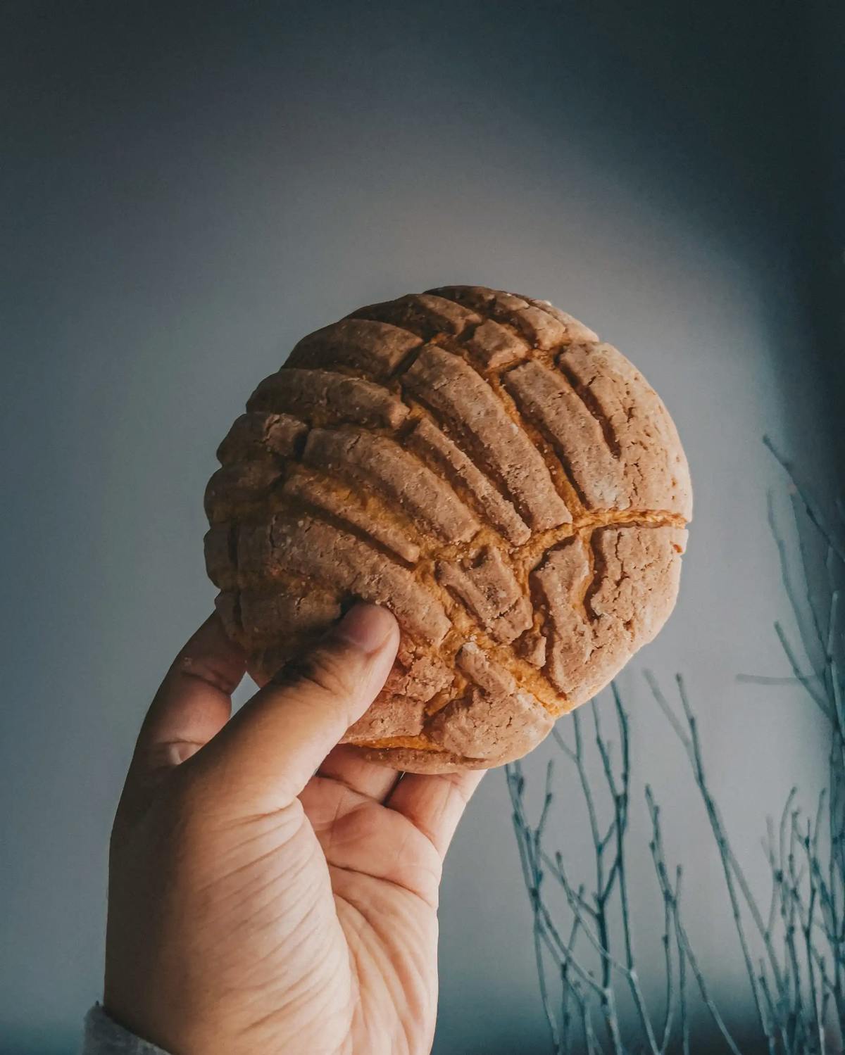 Mexican "Concha" Bread