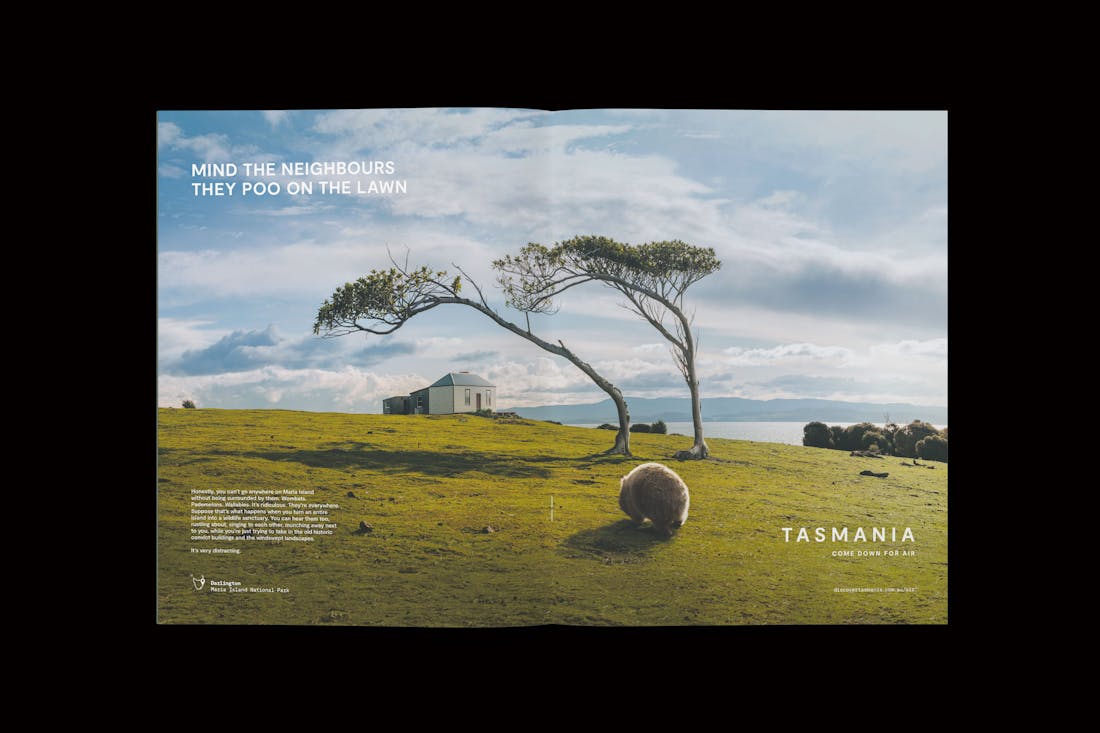 A magazine spread showing a serene Tasmanian landscape with a wombat in the foreground, a funny headline reads: "Mind the neighbours, they poo on the lawn".