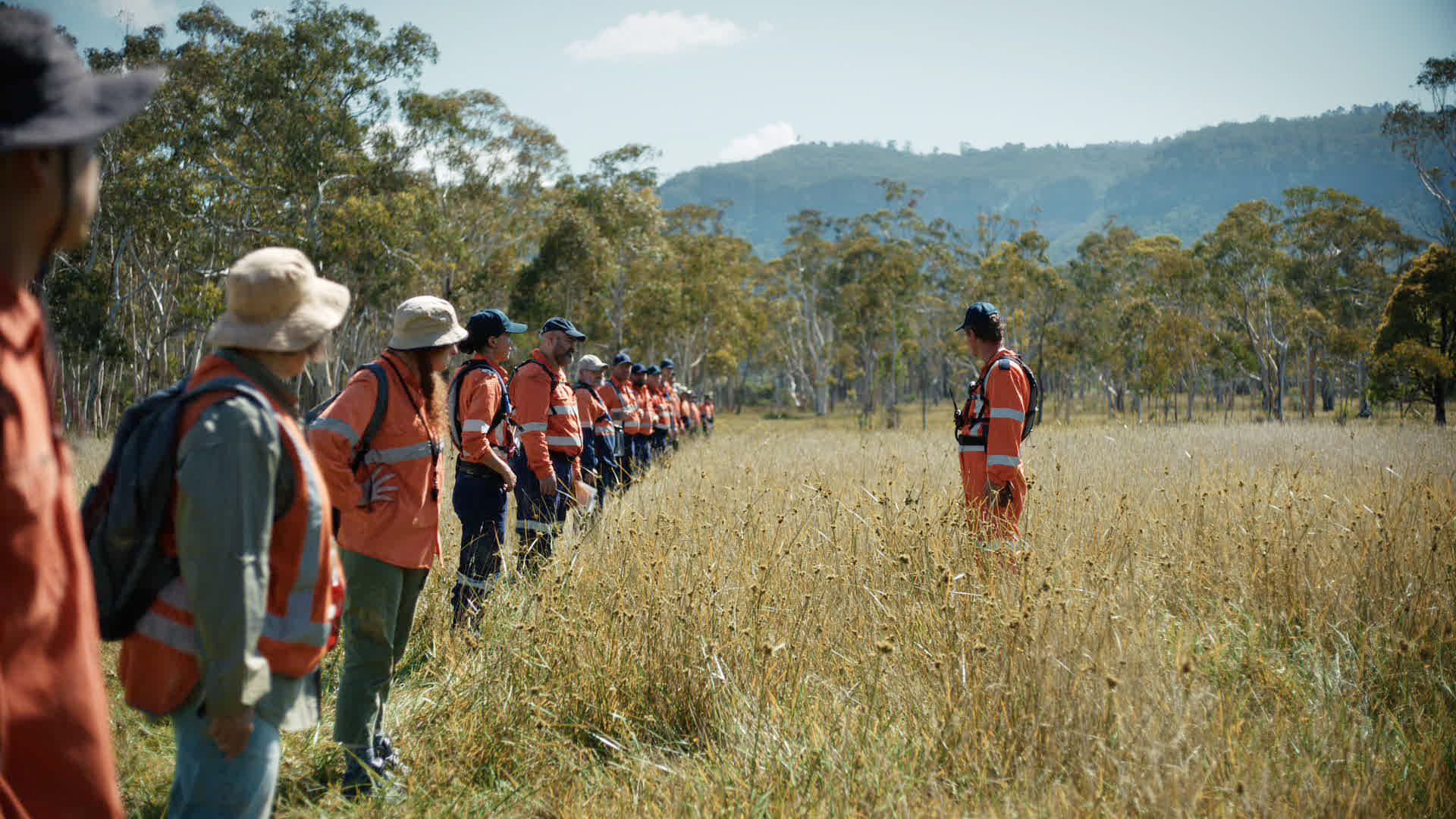 An image of a group of people wearing high-vis outdoors gear standing in a field, in a straight line, as if they're about to perform a line search