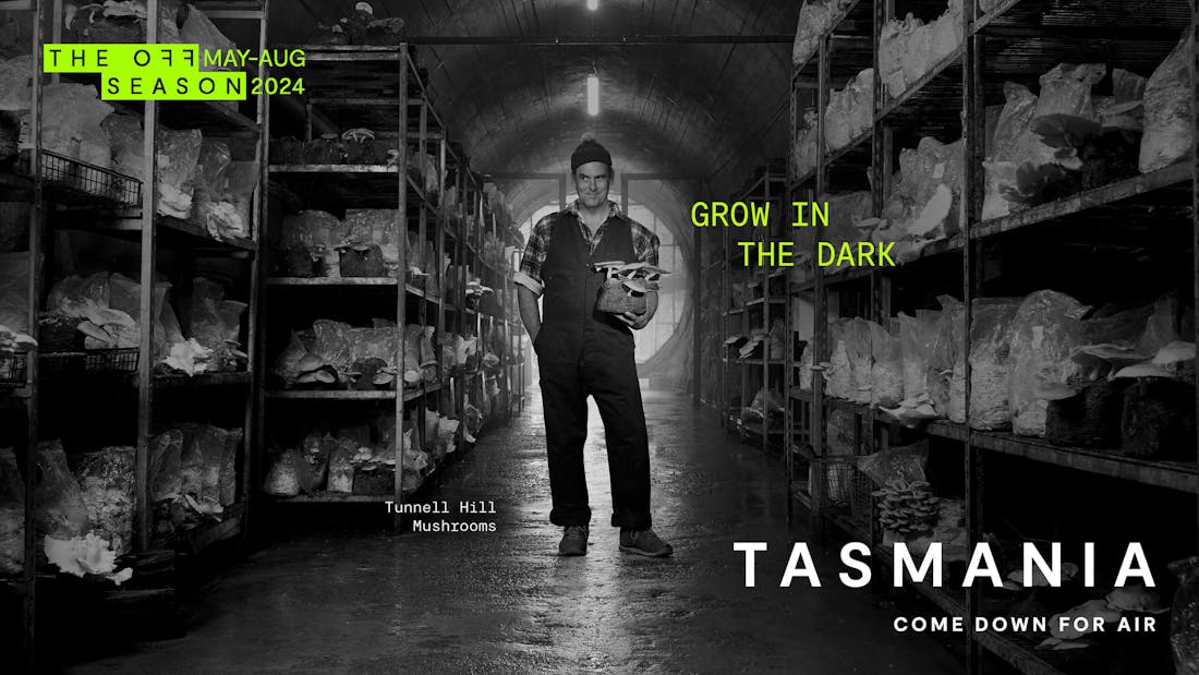 Black and white billboard of man in mushroom warehouse holding mushrooms with green text reading 'The Off Season May-Aug 2024, Grow In The Dar, Tunnel Hills Mushrooms, Tasmania Come Down For Air'