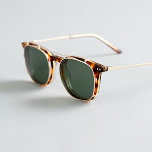 sunglasses clip