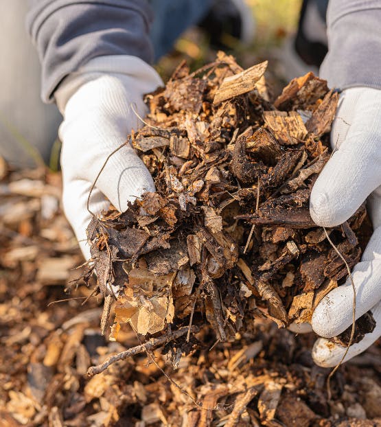 Een berg met bladeren