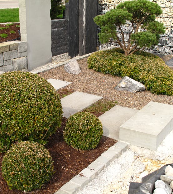 Een mooi ontworpen tuin