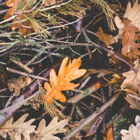 een berg bladeren en takken, groen- en tuinafval