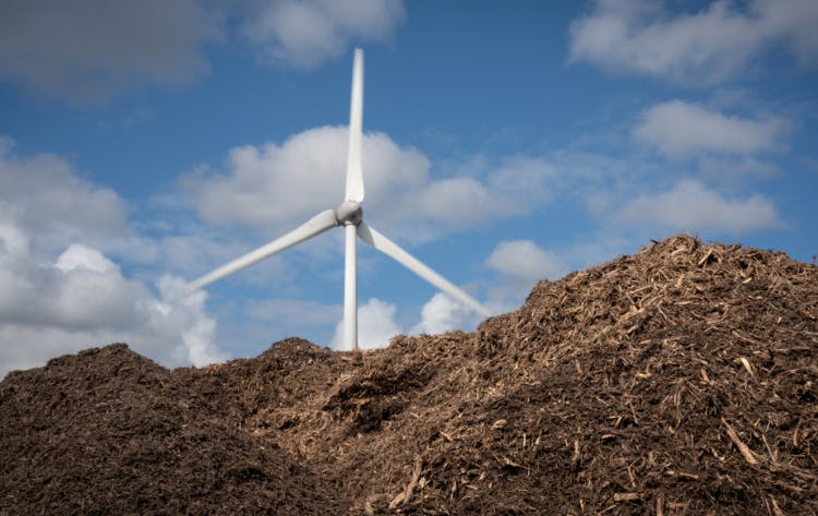 tuinafval wordt verwerkt tot compost