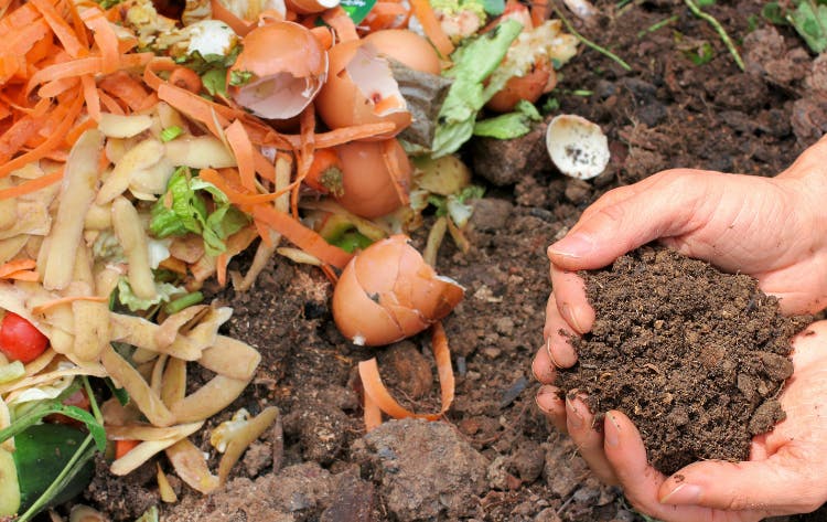van swill afval naar compost