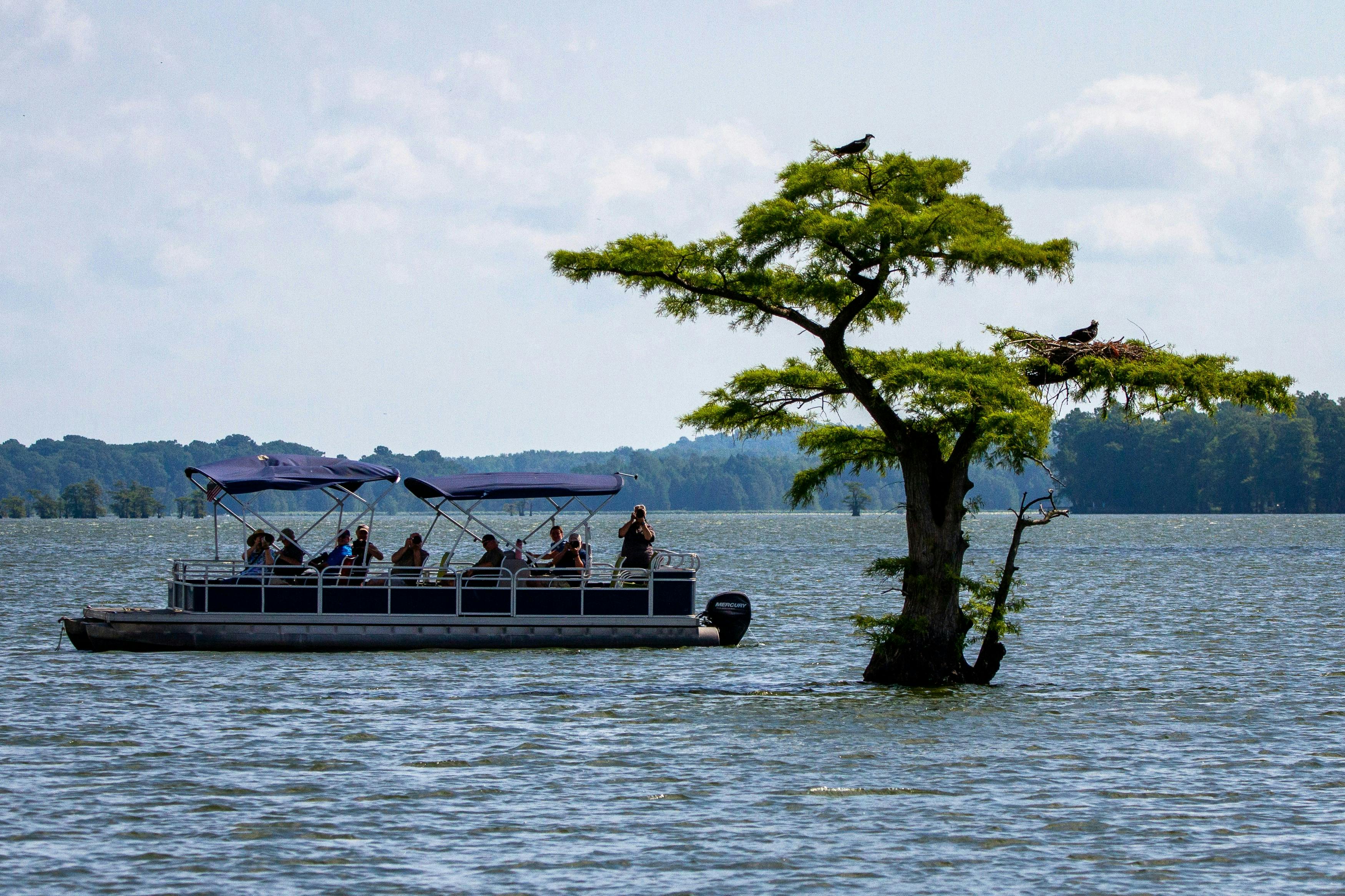 pontoon boat is floating on the river next to the big tree. Key Considerations for Buying a Used Boat: A Buyer’s Guide