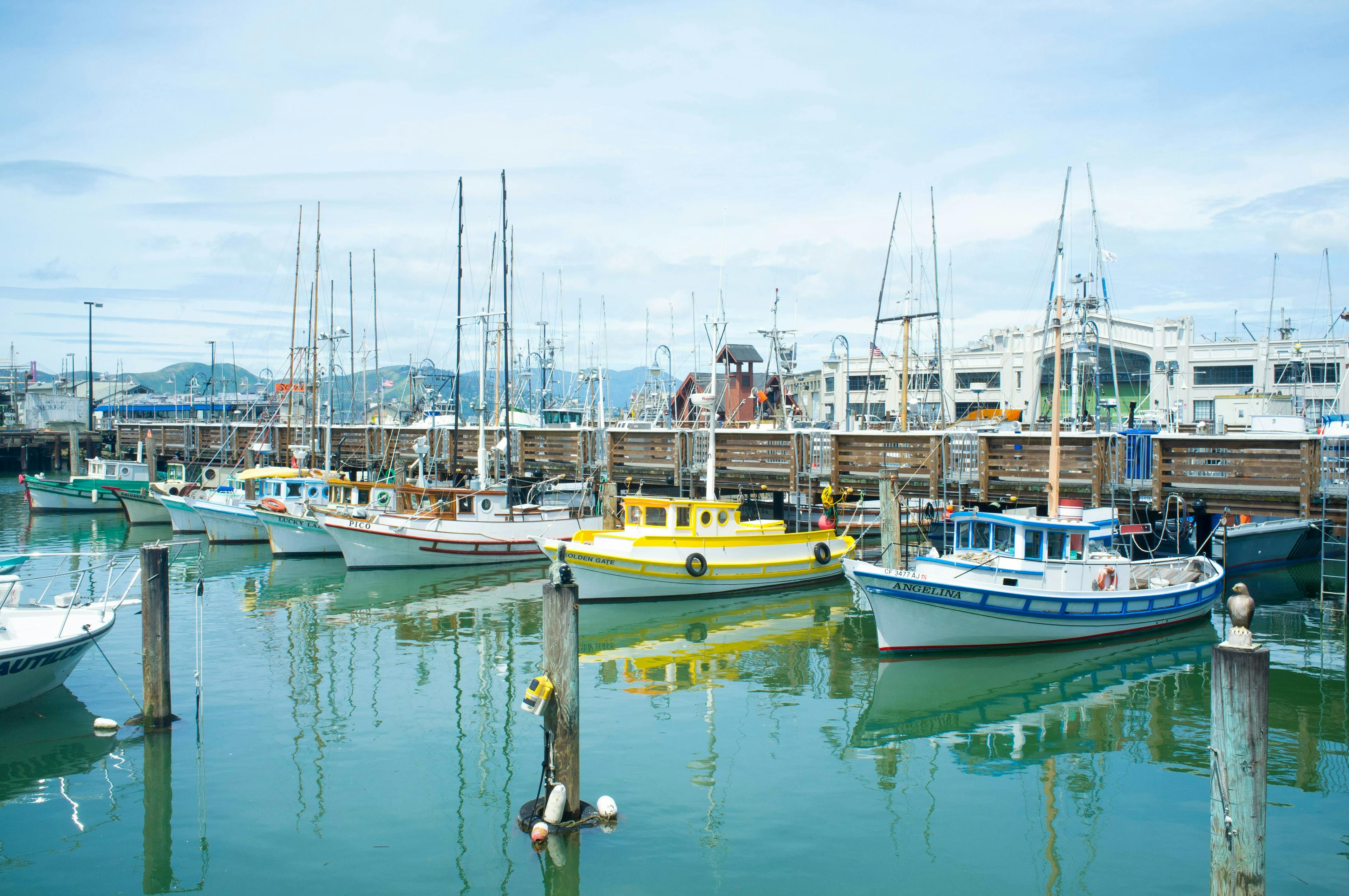 sailboats docked at the marina somewhere in the bay. Understanding the Costs of Recreational and Marine Boating