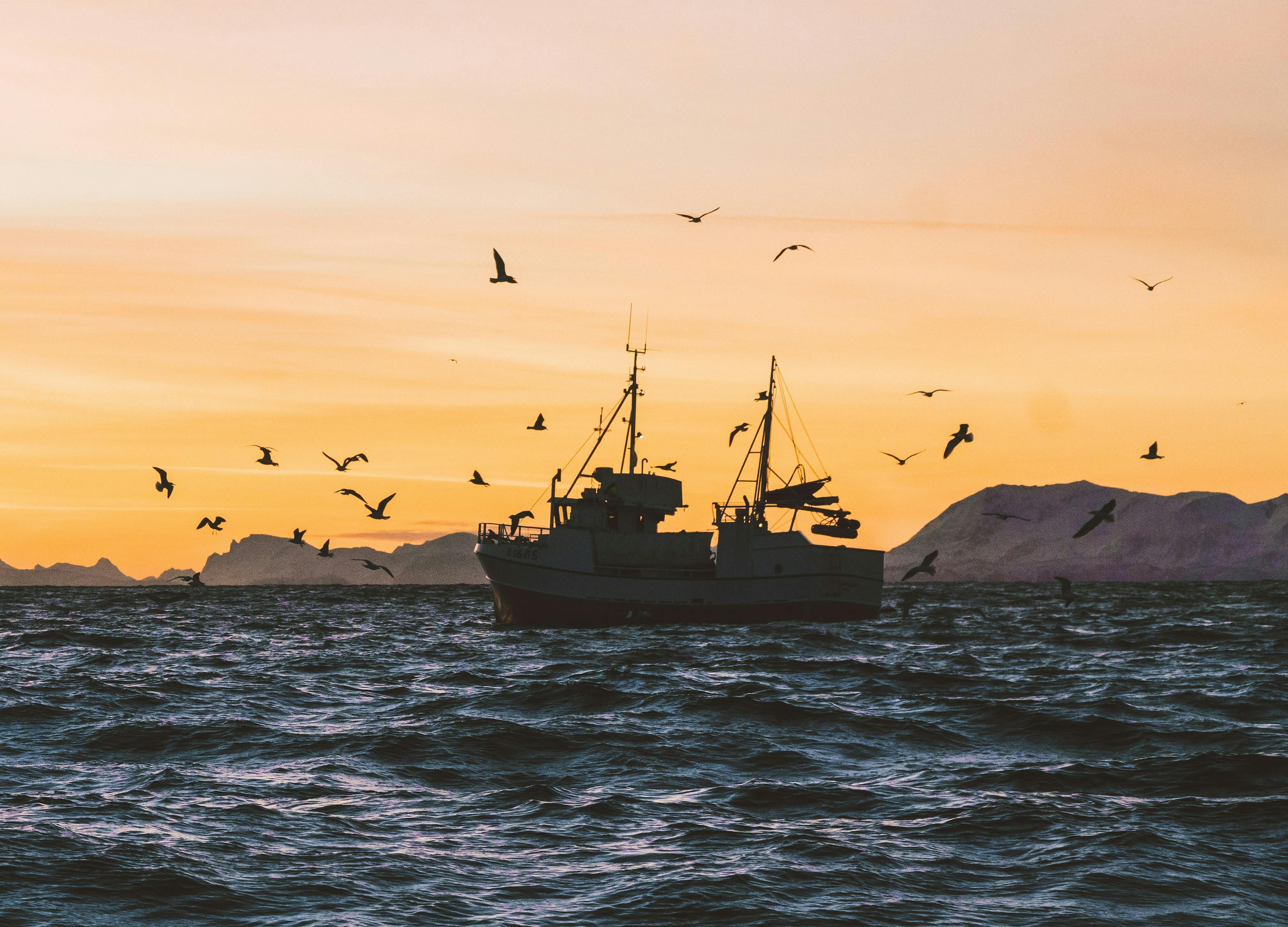 How to Buy a Used Fishing Boat: A Guide for Enthusiasts