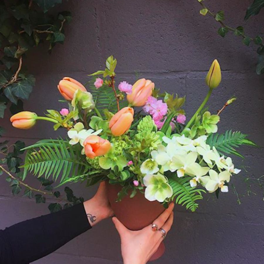 OLIVIA OJEDA: STAYING IN BLOOM