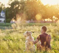 man and dog at sunset