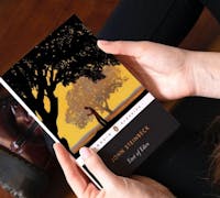 Looking at the cover of East of Eden