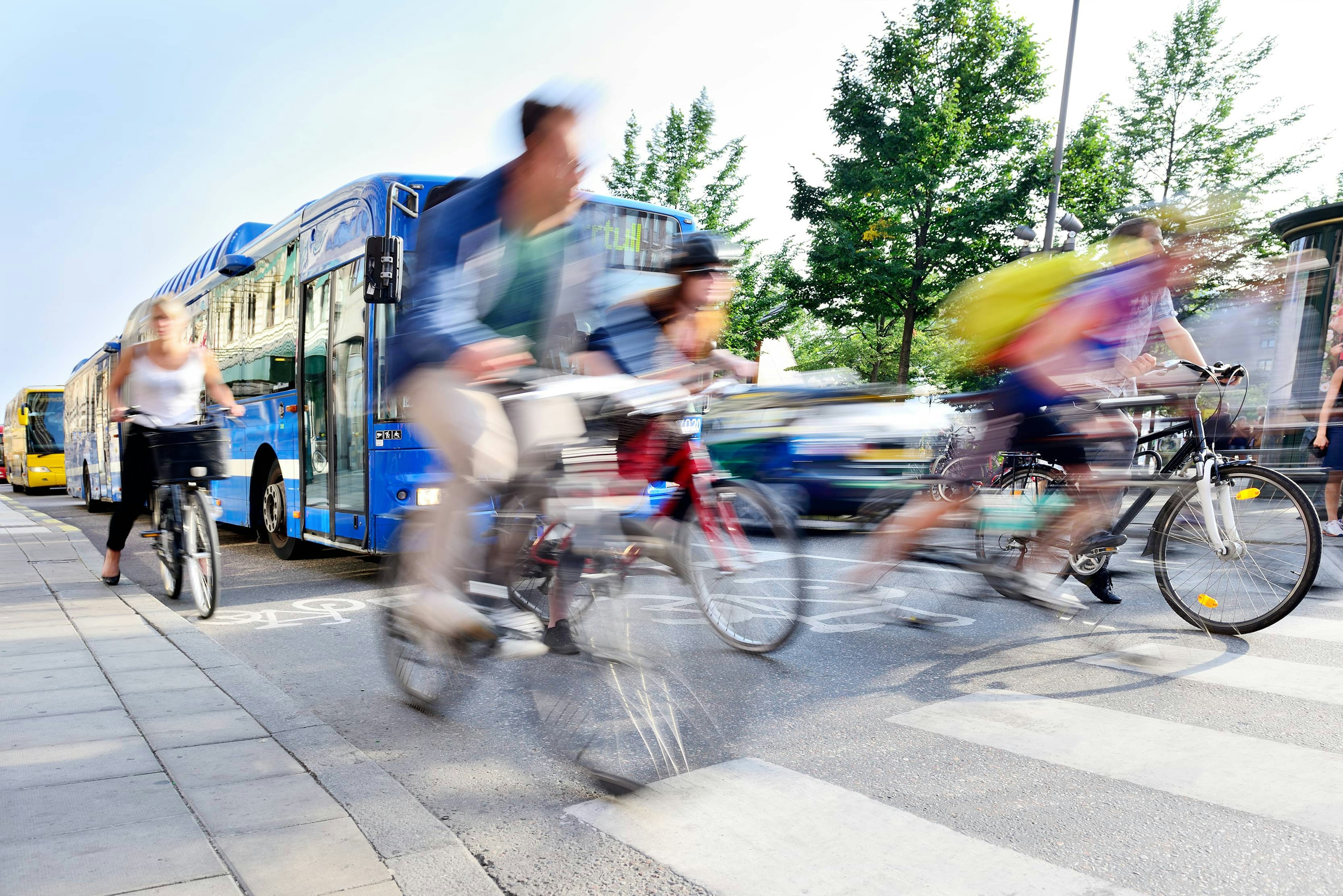Enhancing Campus Mobility with Transportation Software