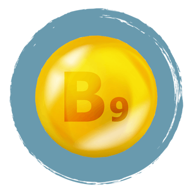 MagneFATIGUE Ingrediënten Vitamine B9