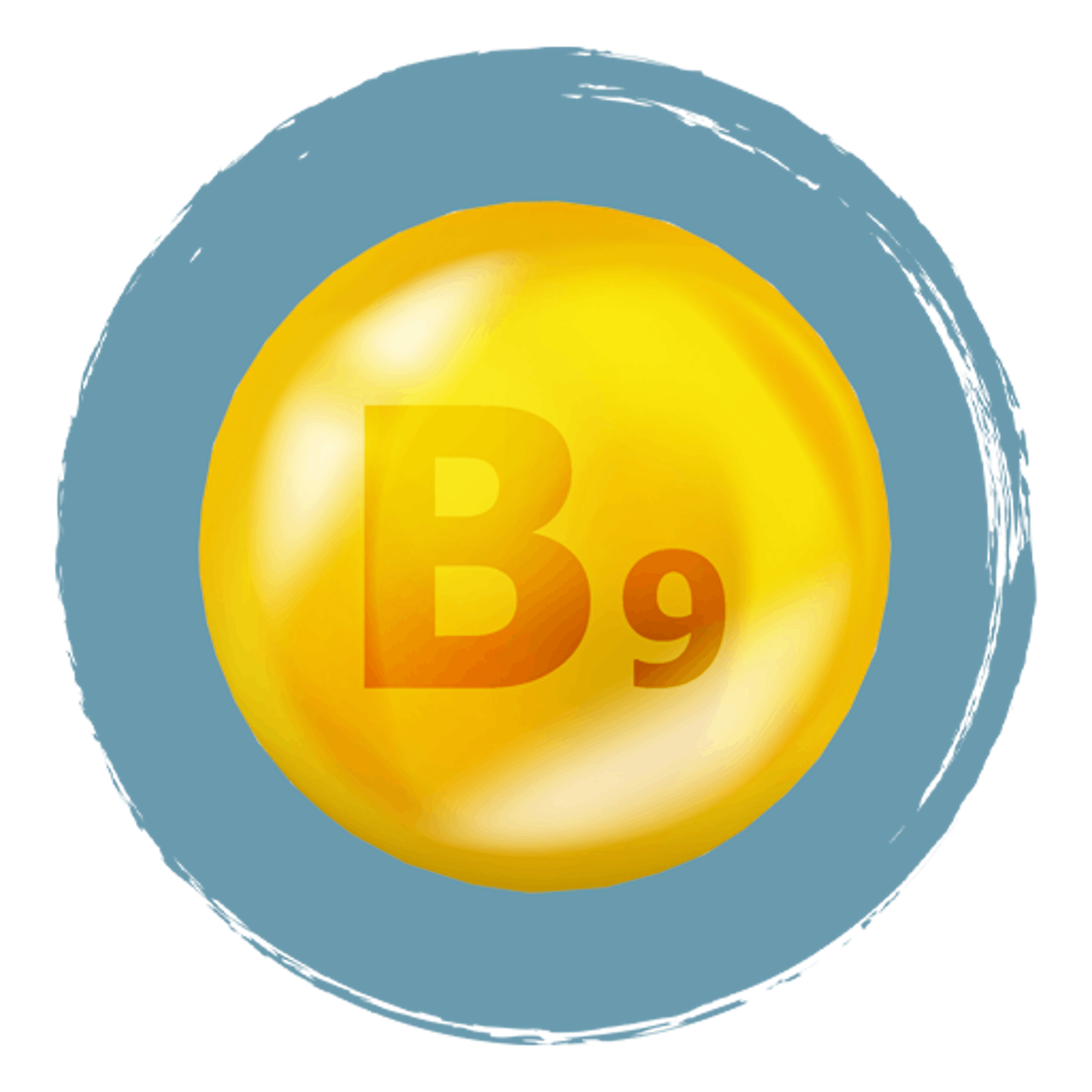 MagneFATIGUE Ingrediënten Vitamine B9