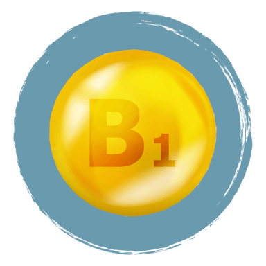 MagneFATIGUE Ingrediënten Vitamine B1