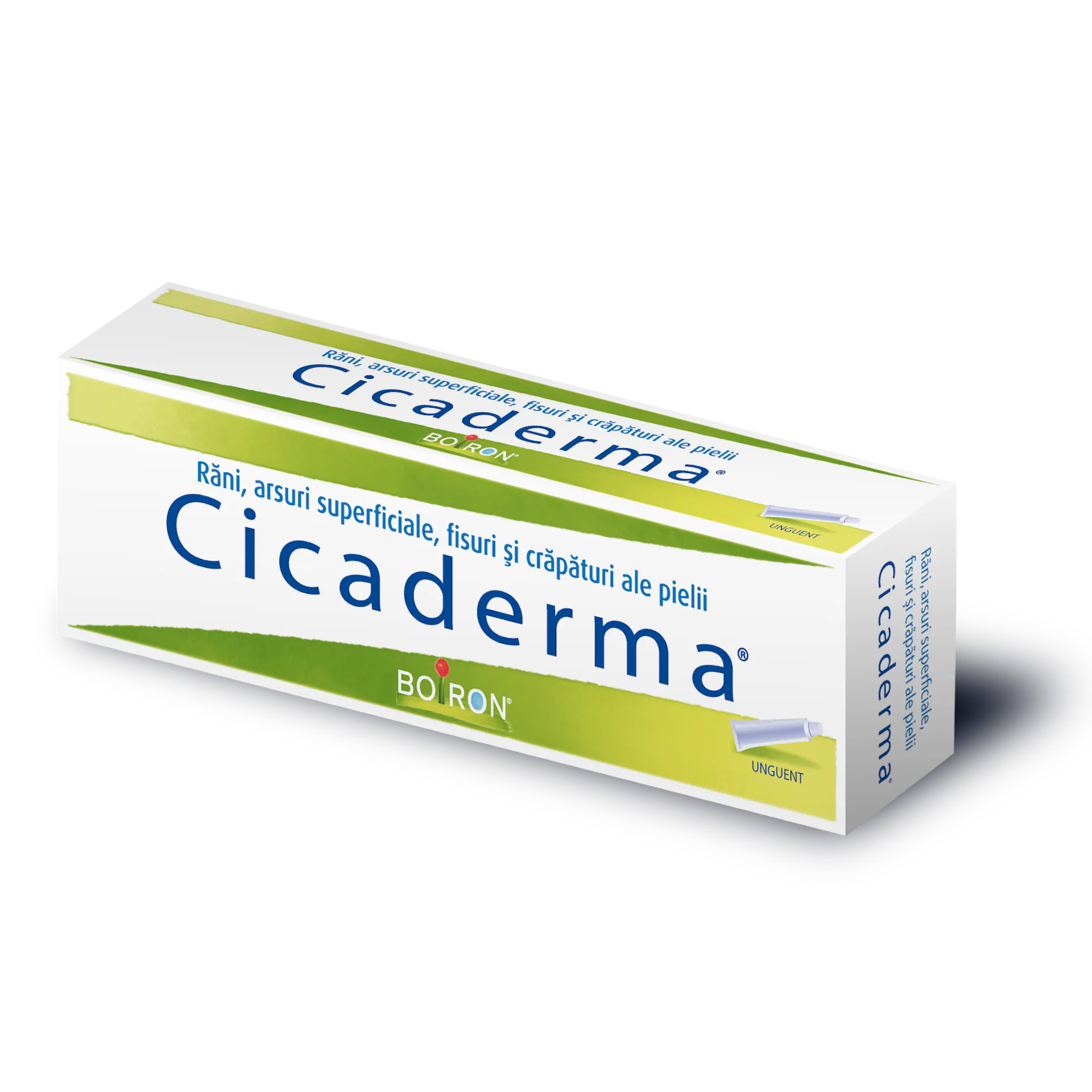 Cicaderma® | Homeopatie Boiron