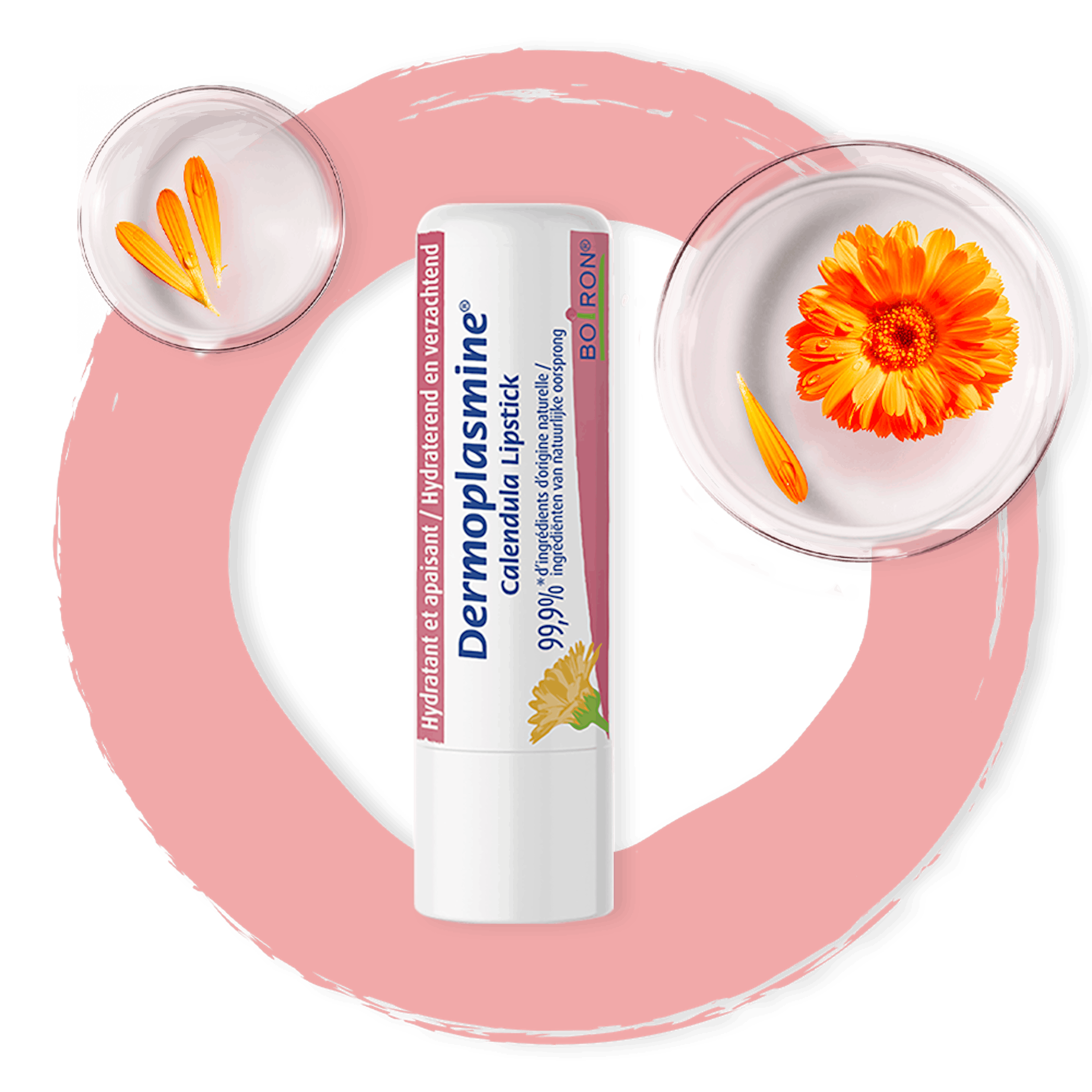 Dermoplasmine - Calendula Lipstick, Lèvres sensibles, sèches et fragilisées