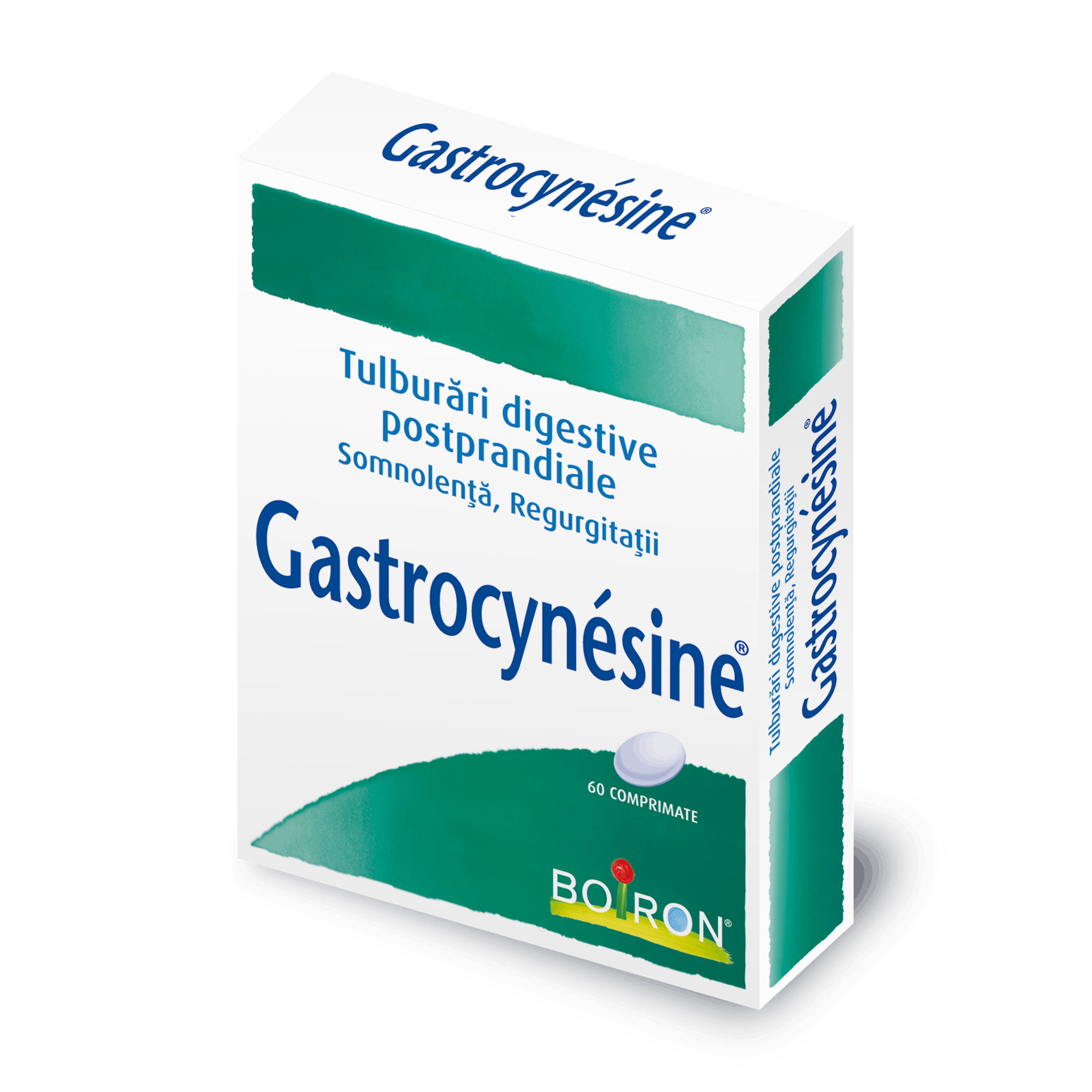 Gastrocynesine