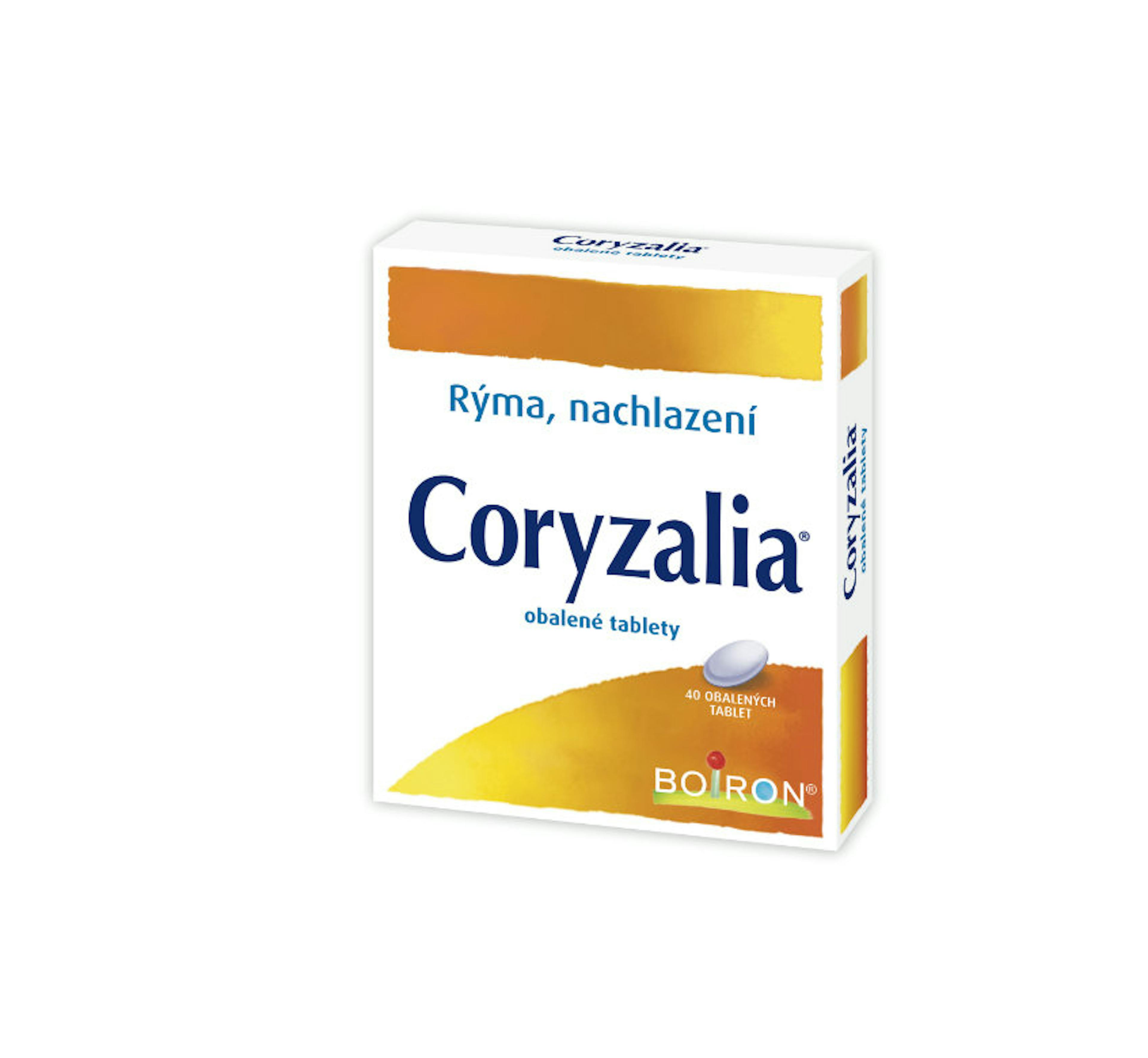 Coryzalia krabička