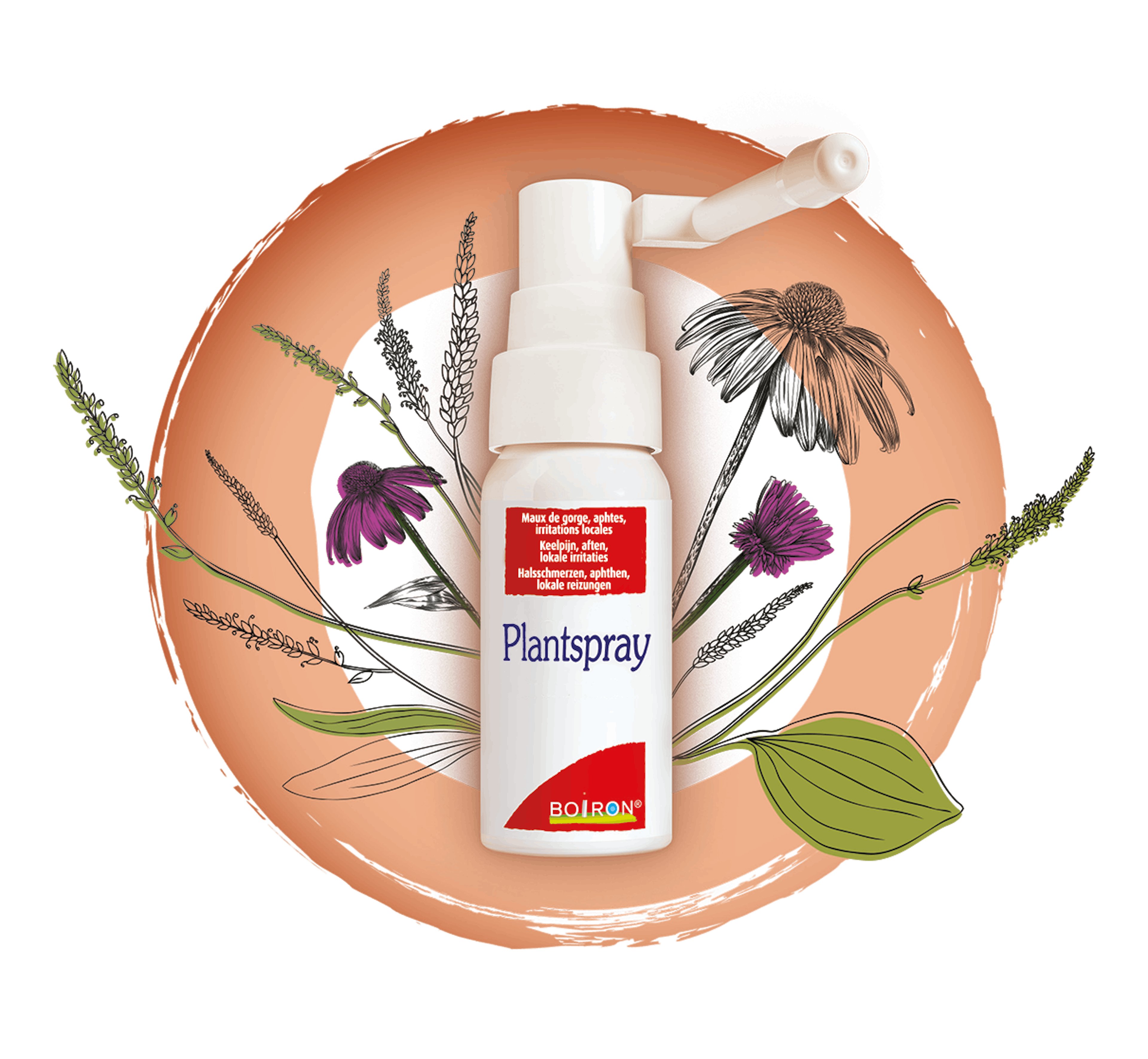Plantspray - onze homeopathische geneesmiddelen specialiteiten - Keelpijn - Aften - Lokale irritaties