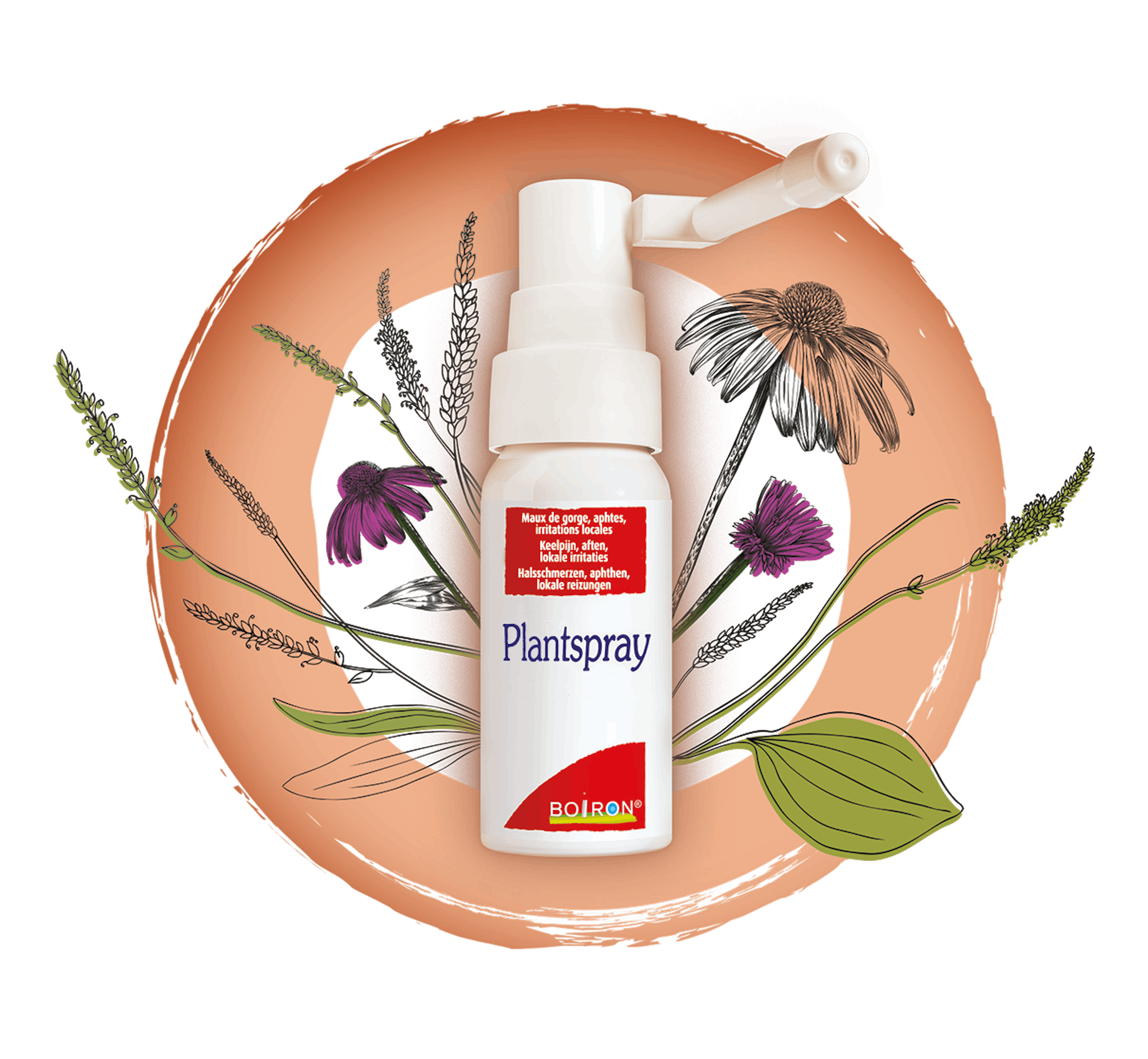 Spray à base de plantes pour soulager la douleur