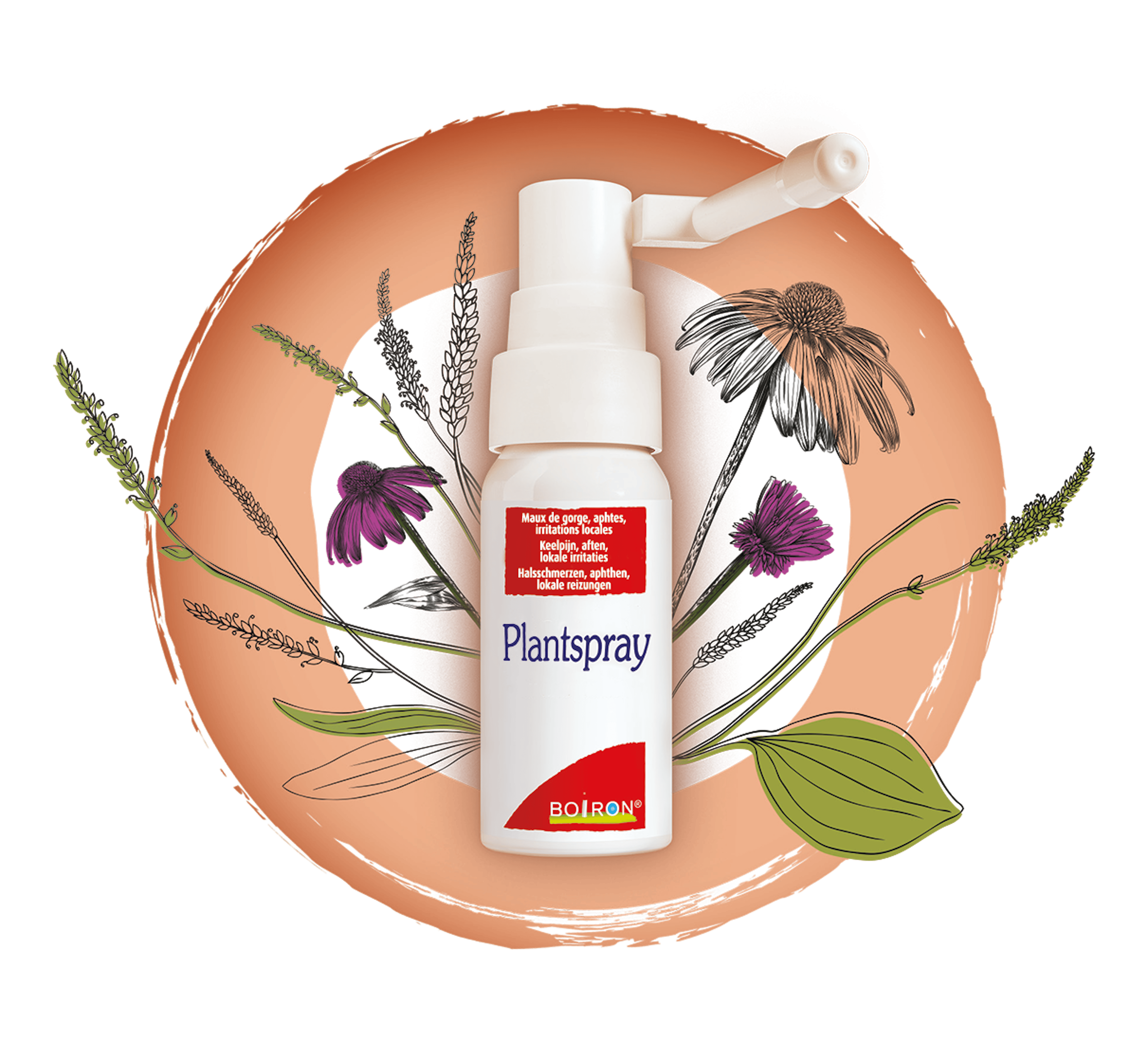 Plantspray - Nos médicaments homéopathiques spécialités - Maux de gorge - Aphtes - Irritations locales