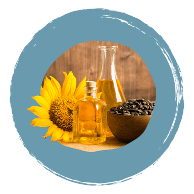 Boiron Dermoplasmine Calendula Lipstick ingrediënten zonnebloempitolie