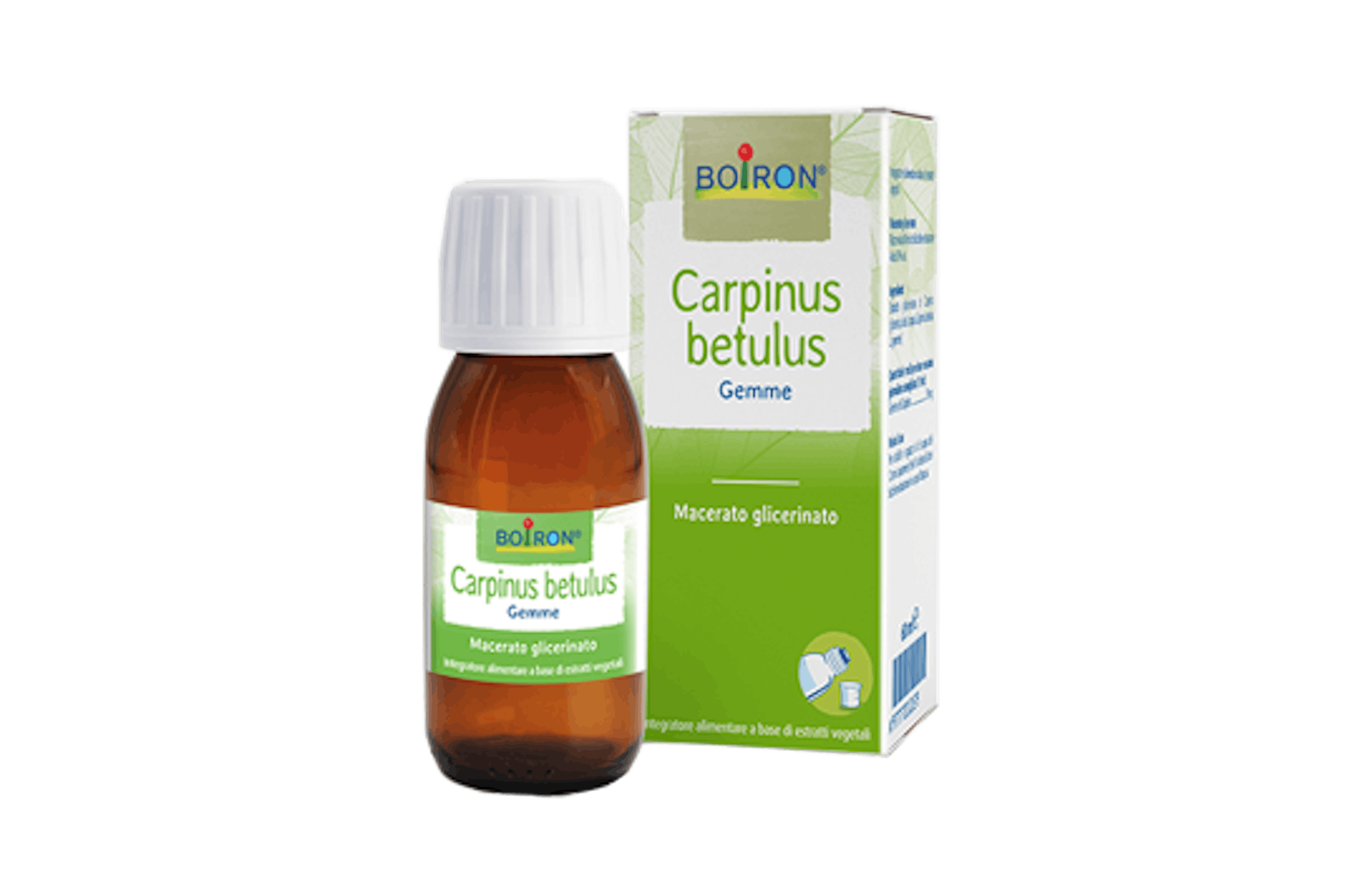 Carpinus betulus Gemme flacone da 60 ml con bicchiere dosatore.
