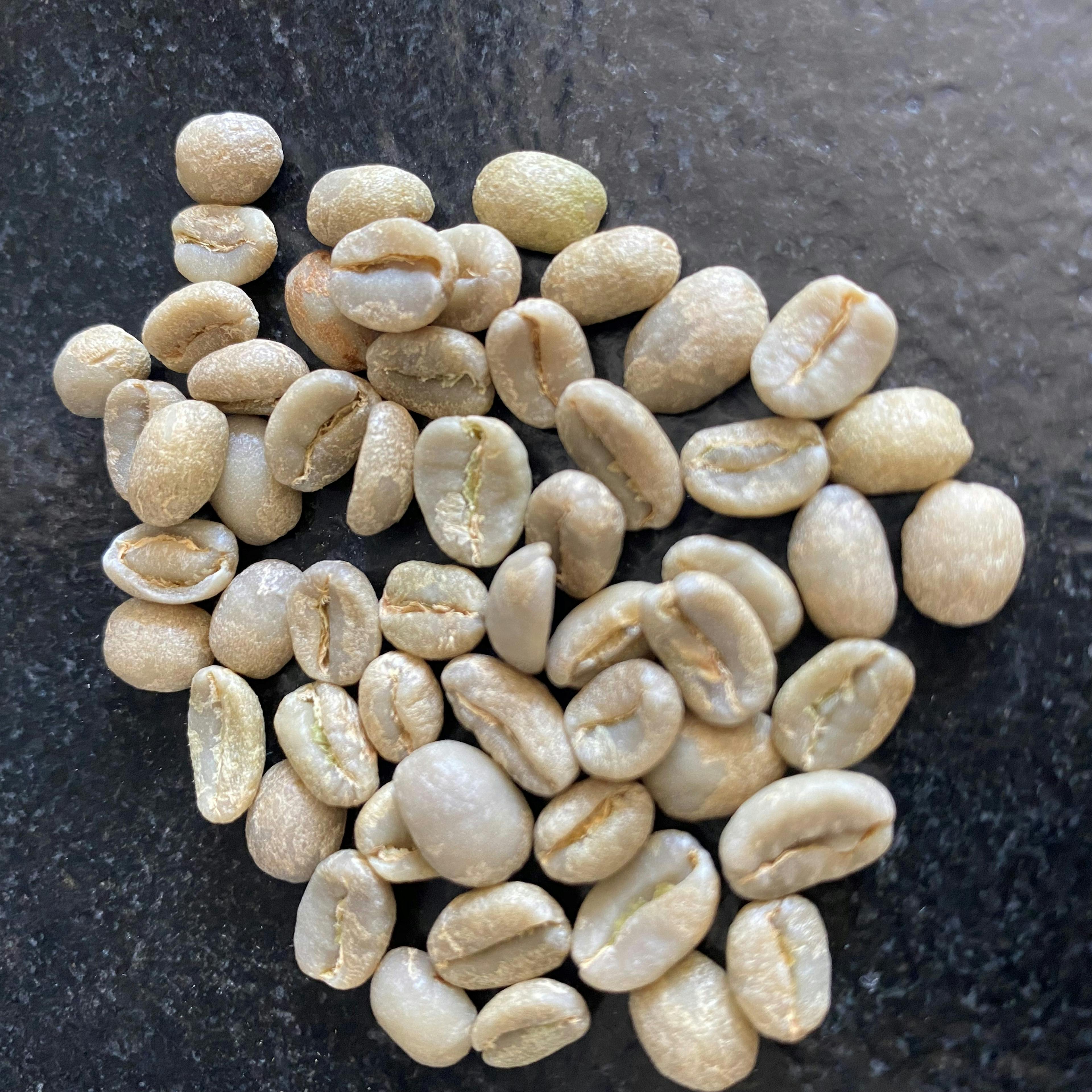 Arborele de cafea de Arabia homeopatie