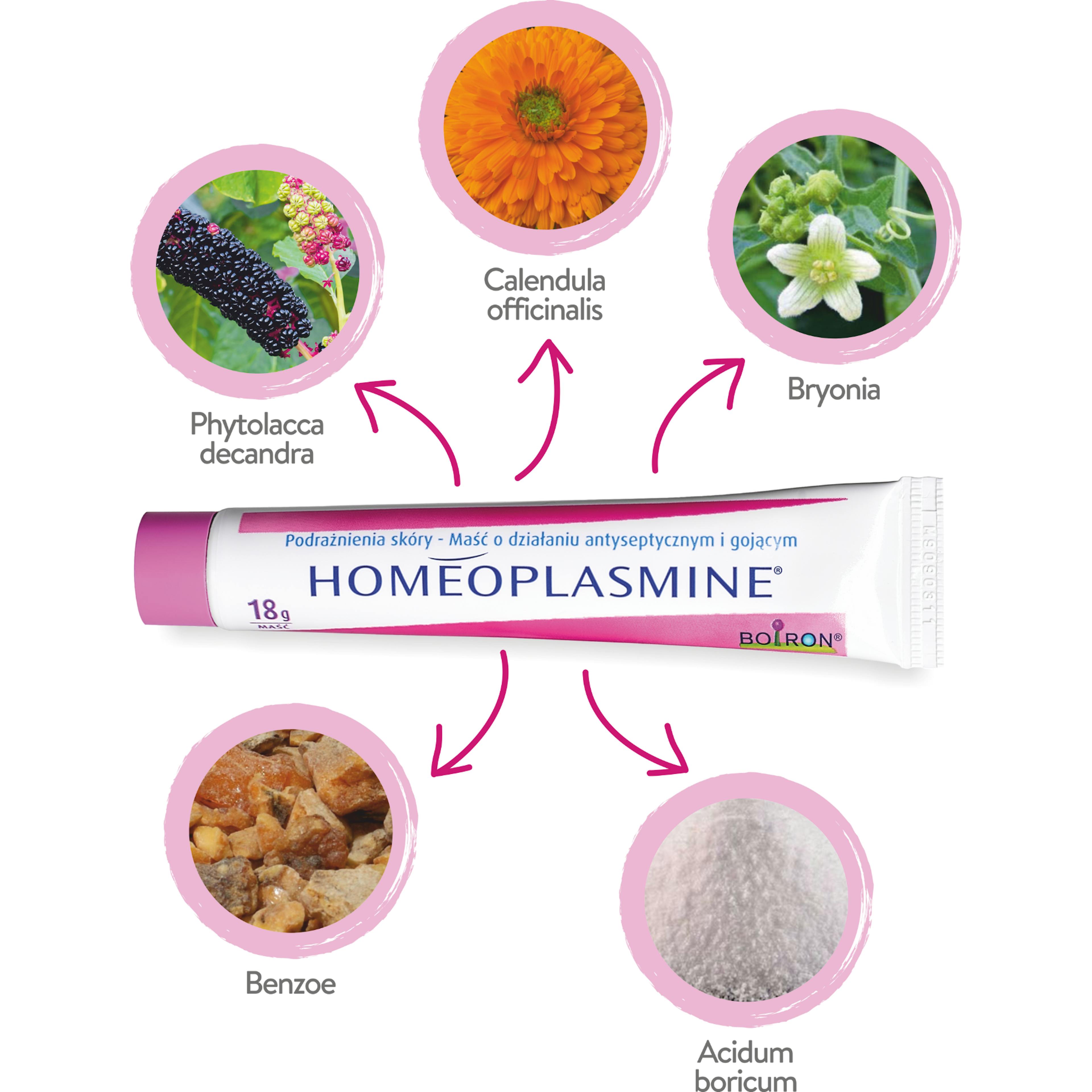 składniki homeoplasmine