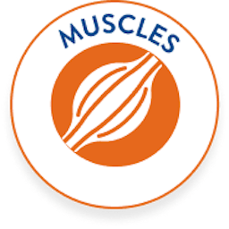 Muscles CBD Boiron