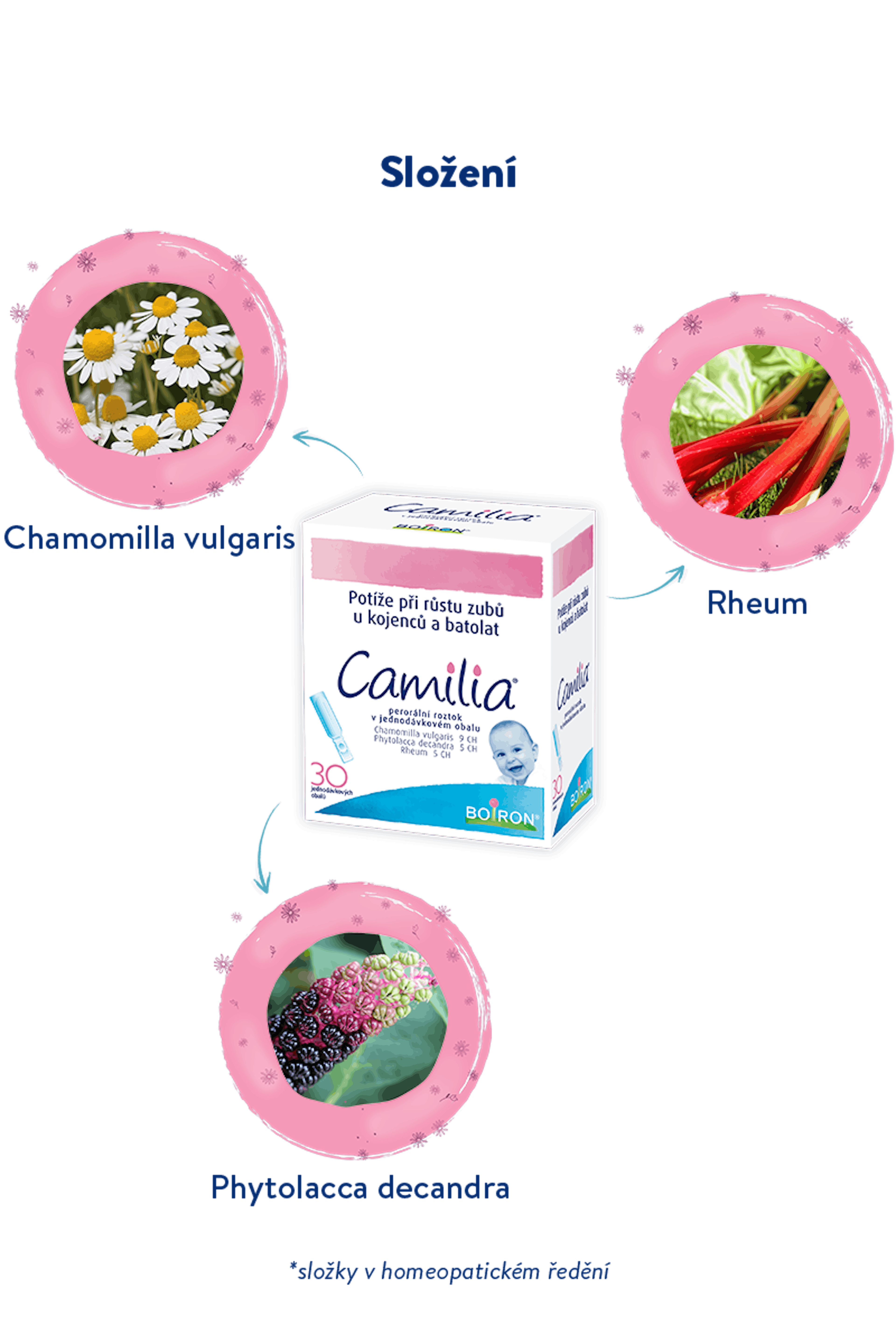 Camilia slozeni s nadpisem