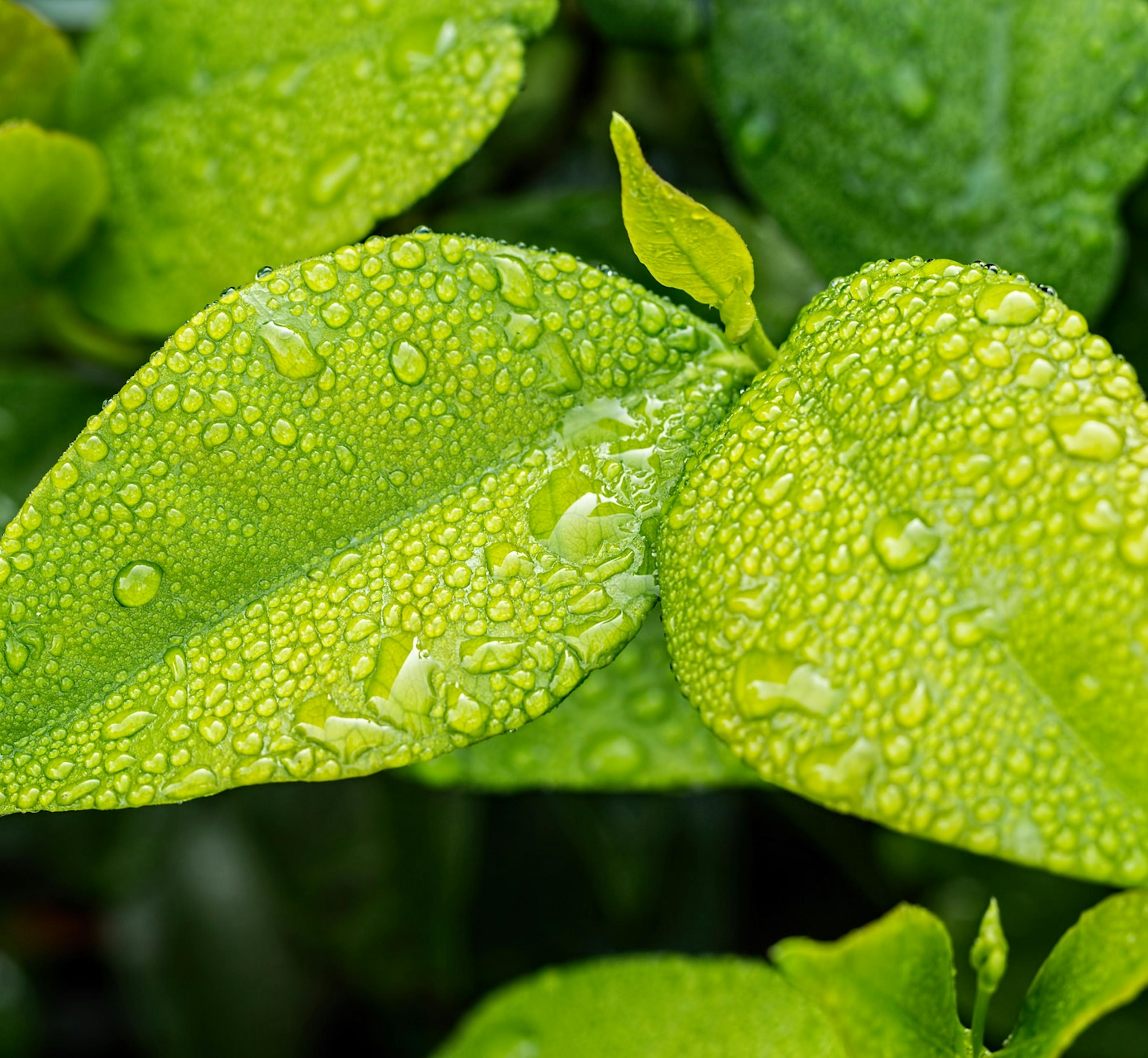 Header 6 buoni motivi