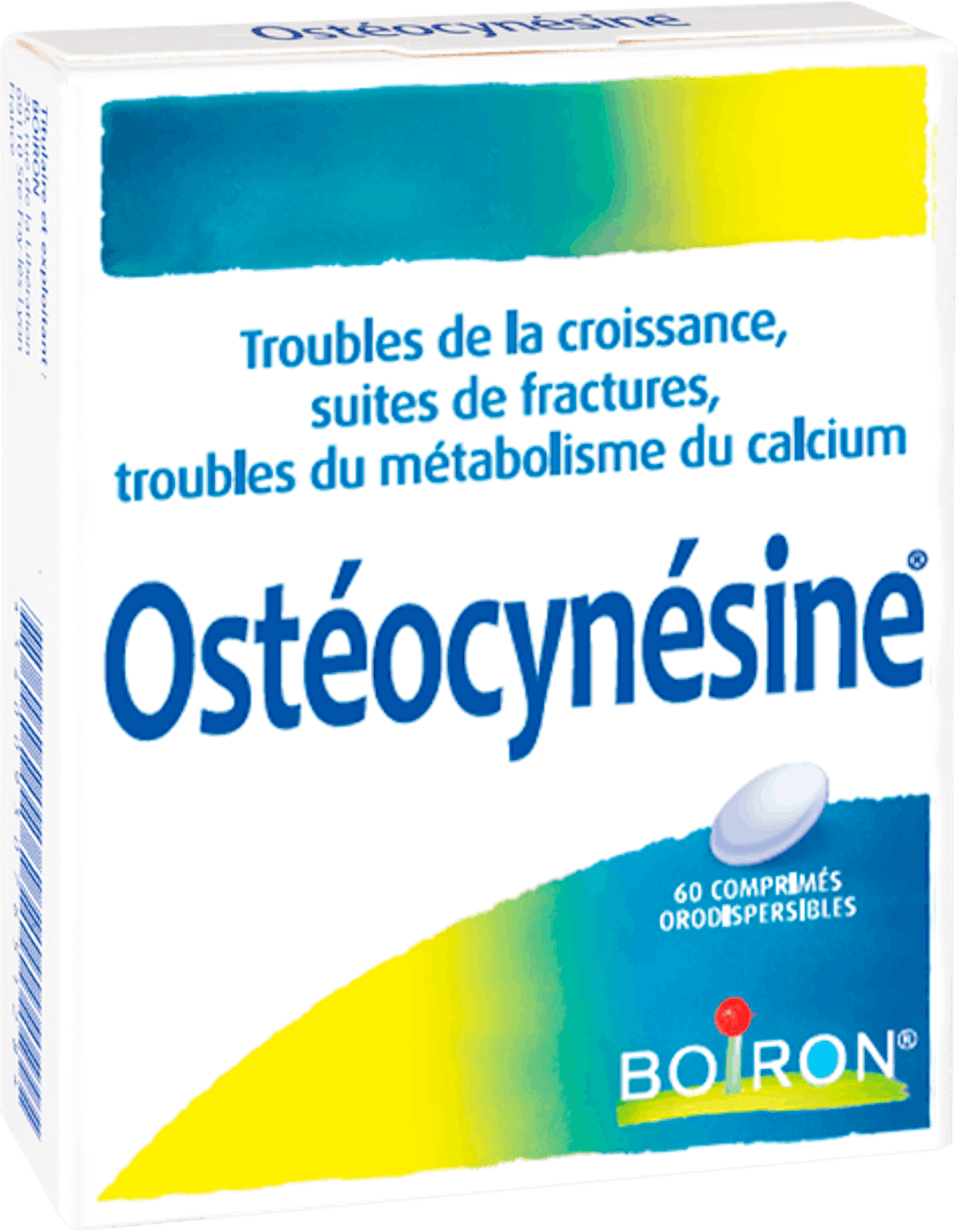 Ostéocynésine 