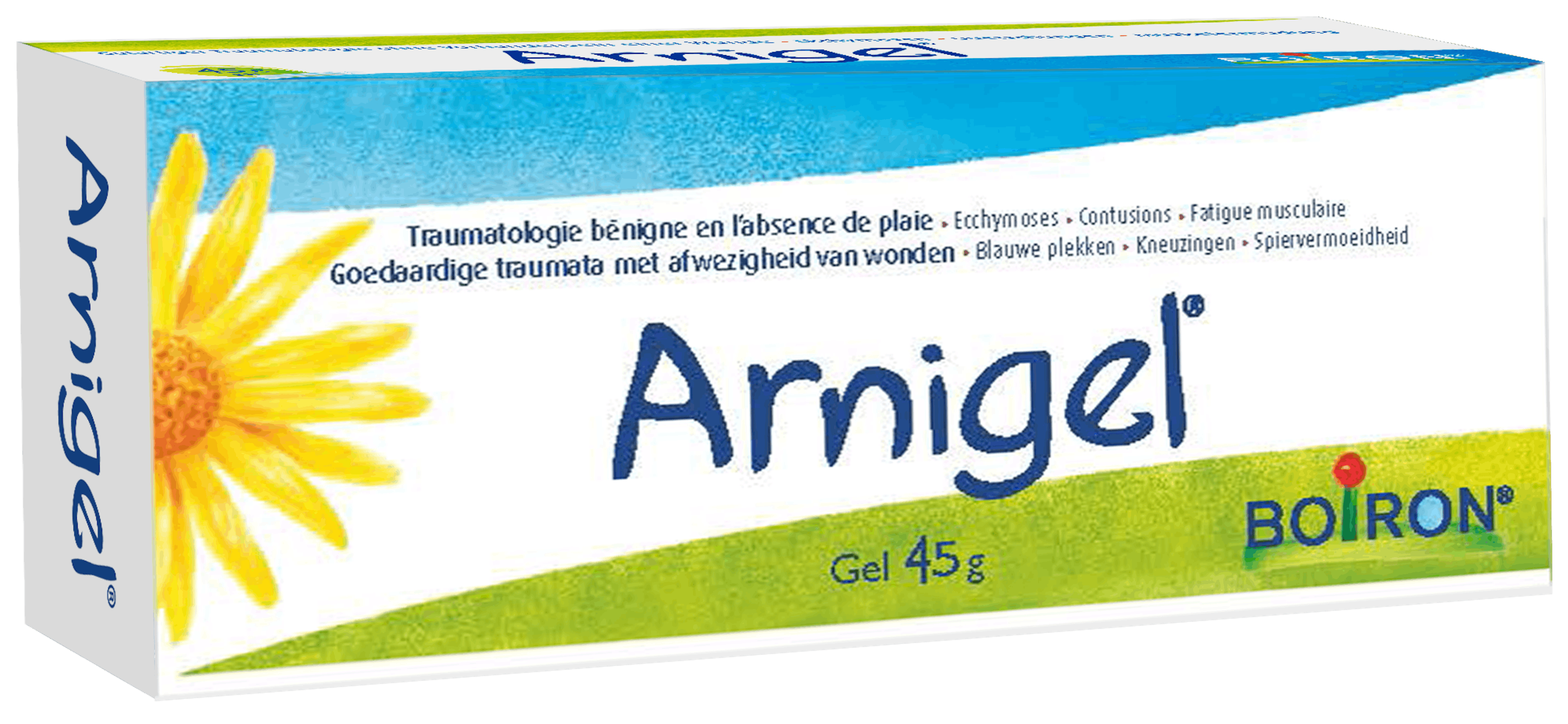 arnigel - nos médicaments homéopathiques spécialités - Bleus - Bosses - Fatigue musculaire