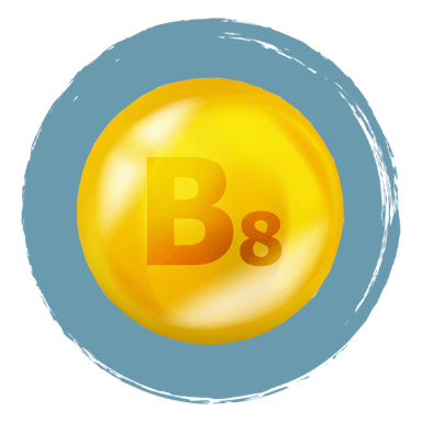 MagneFATIGUE Ingrediënten Vitamine B8