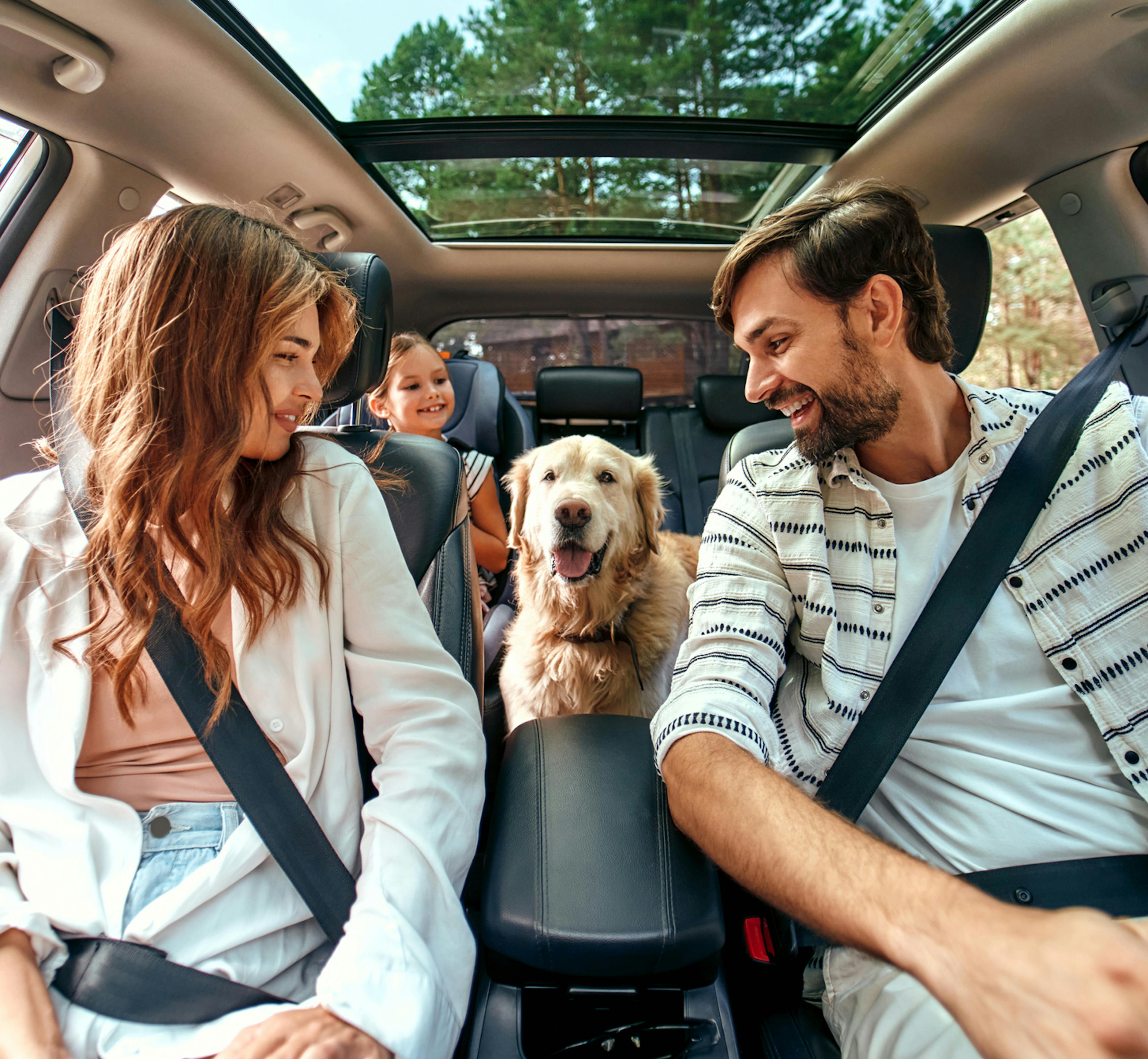 Estate on the road? Scopri i medicinali omeopatici per il mal d'auto