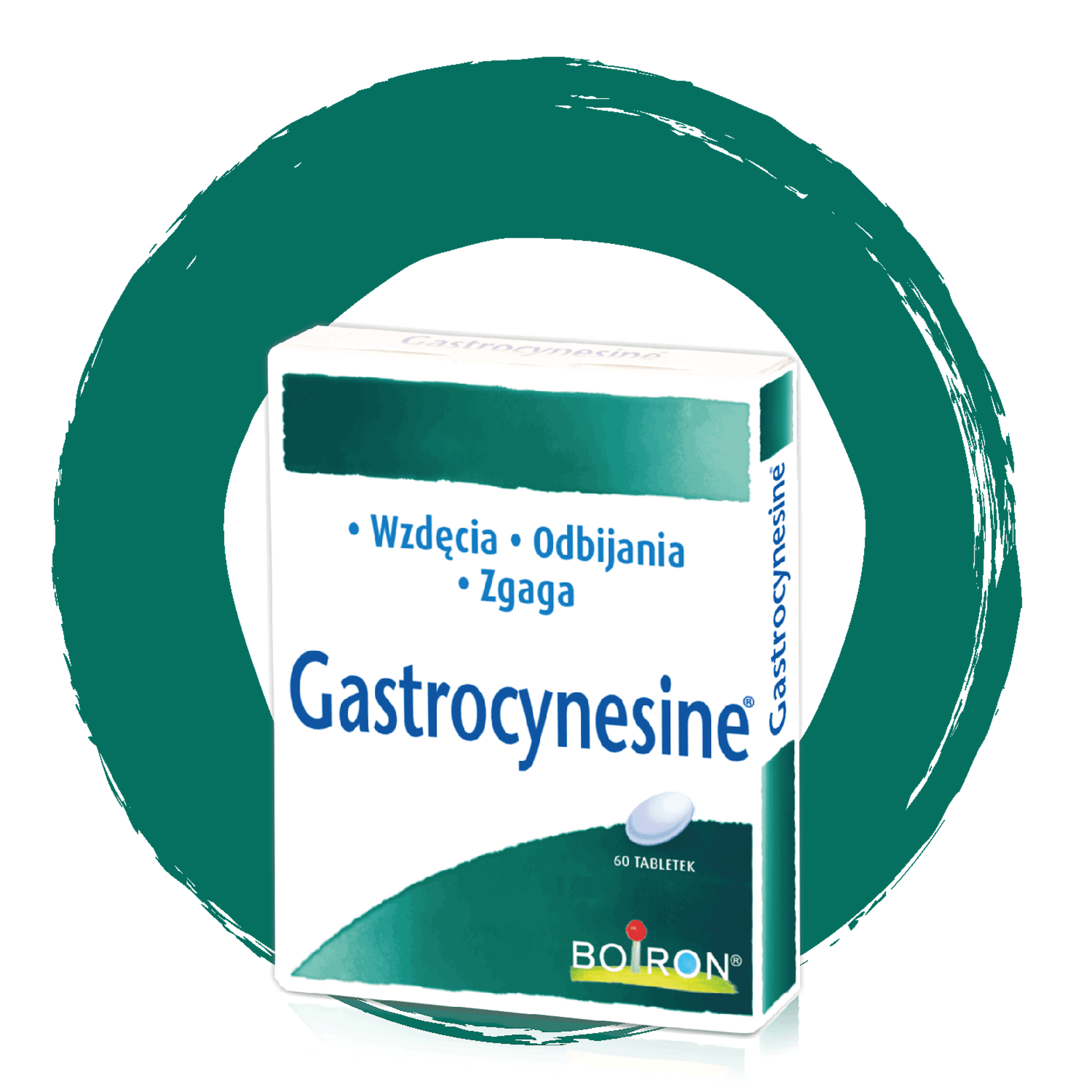 Gastrocynesine