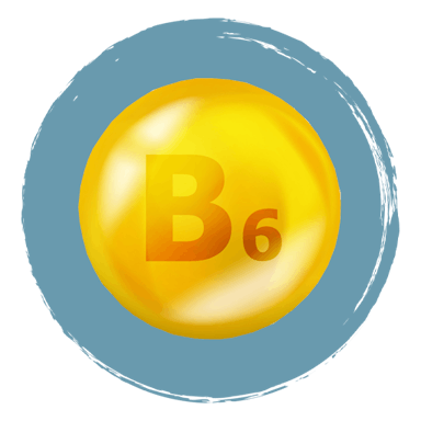 MagneFATIGUE Ingrediënten Vitamine B6