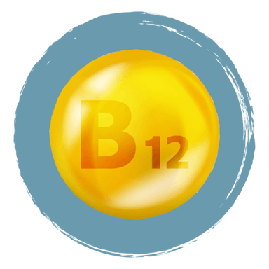 MagneFATIGUE Ingrediënten Vitamine B12