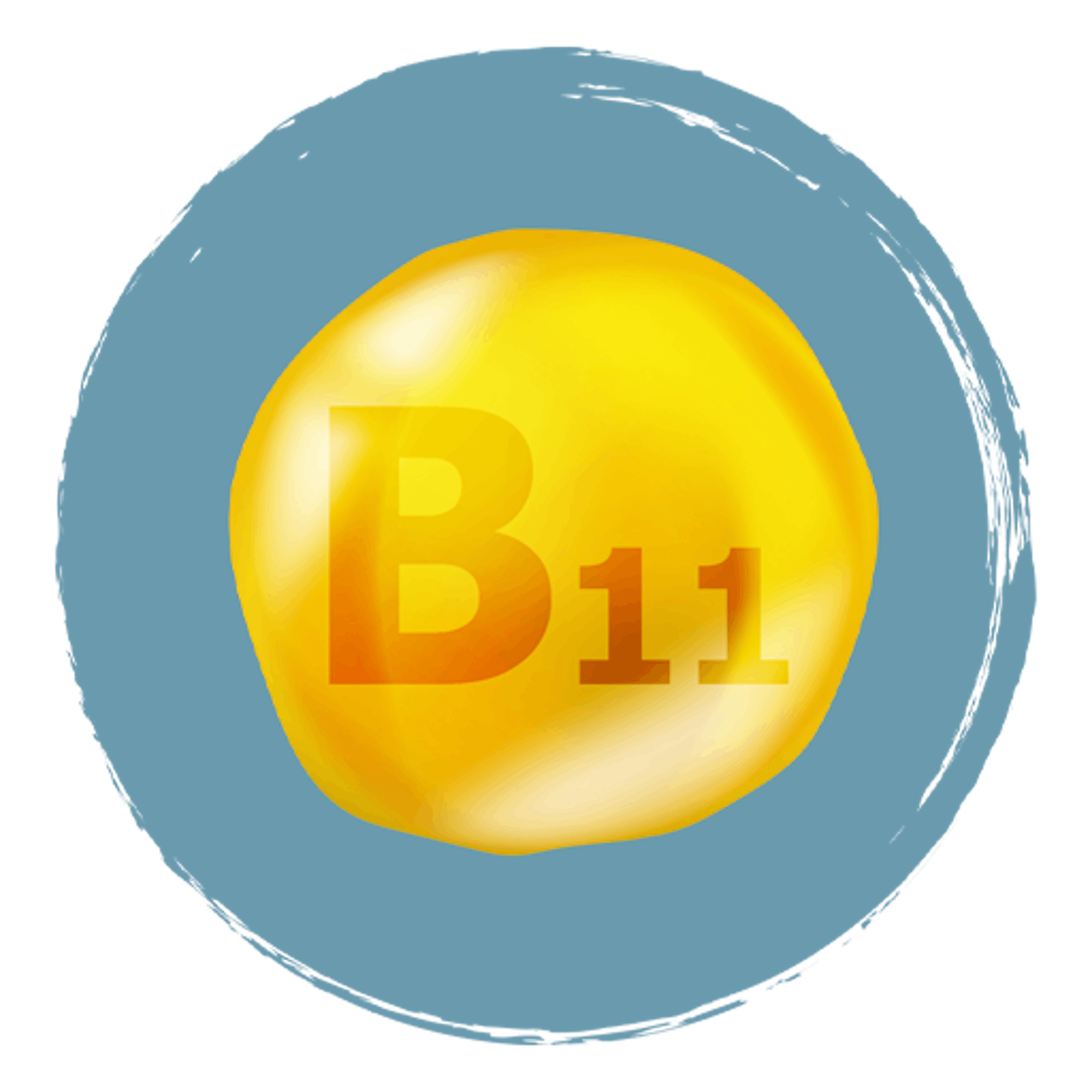 Boiron B-fer ingrédients Acide folique B11
