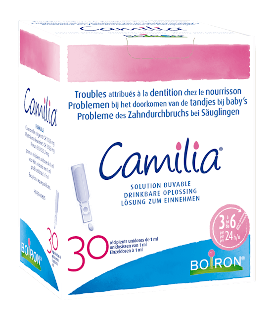 Camilia, Poussée dentaire
