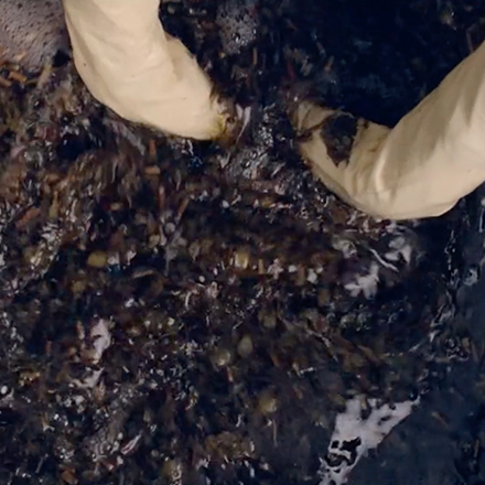 Anti-inflammatoires non stéroïdiens 