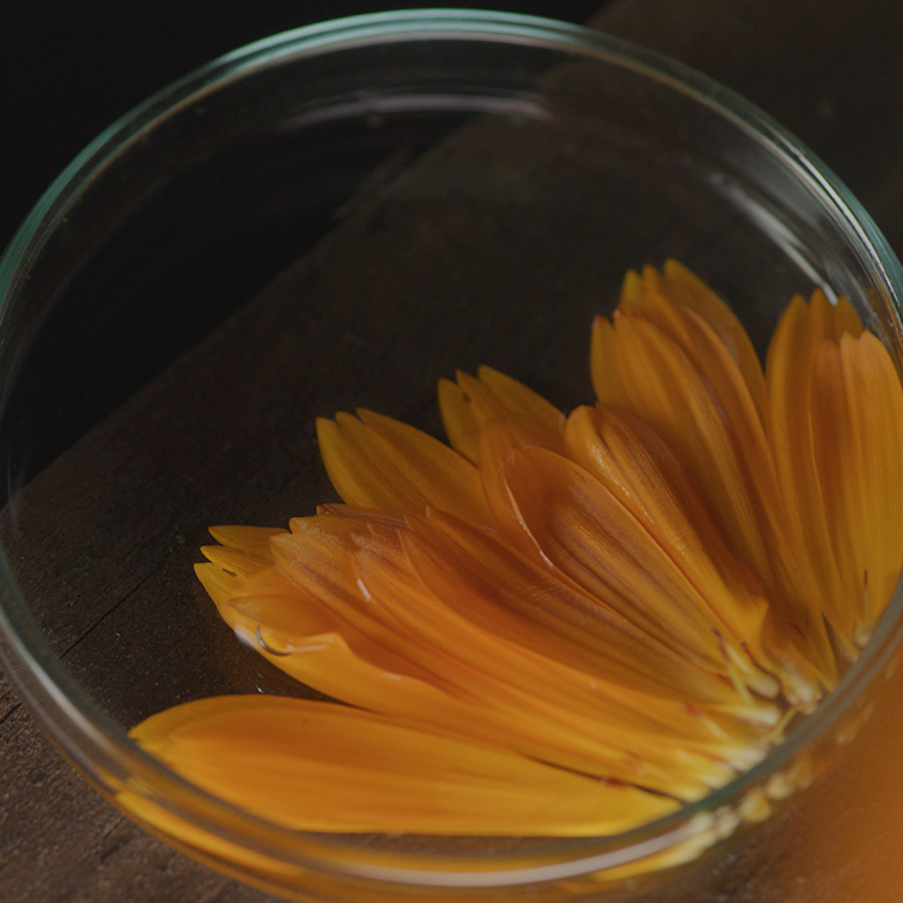calendula fiore petali