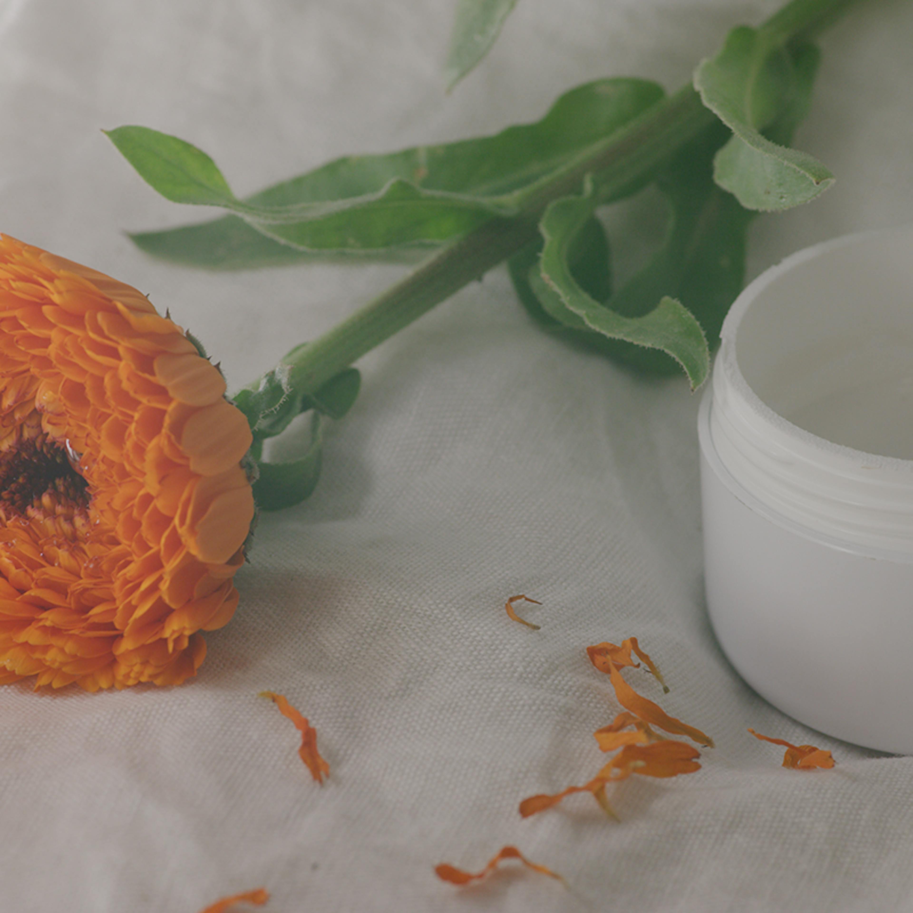 calendula proprietà dermatologiche