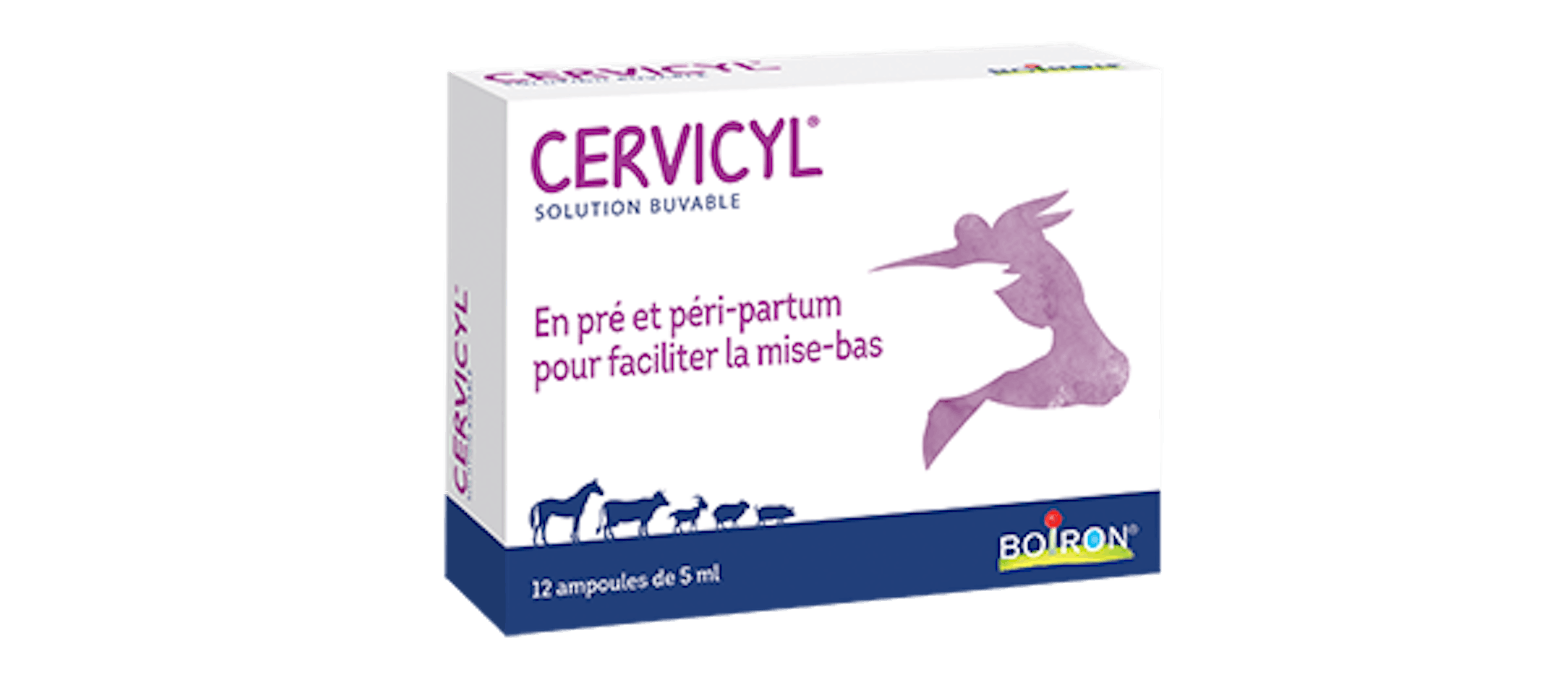 Cervicyl Boiron