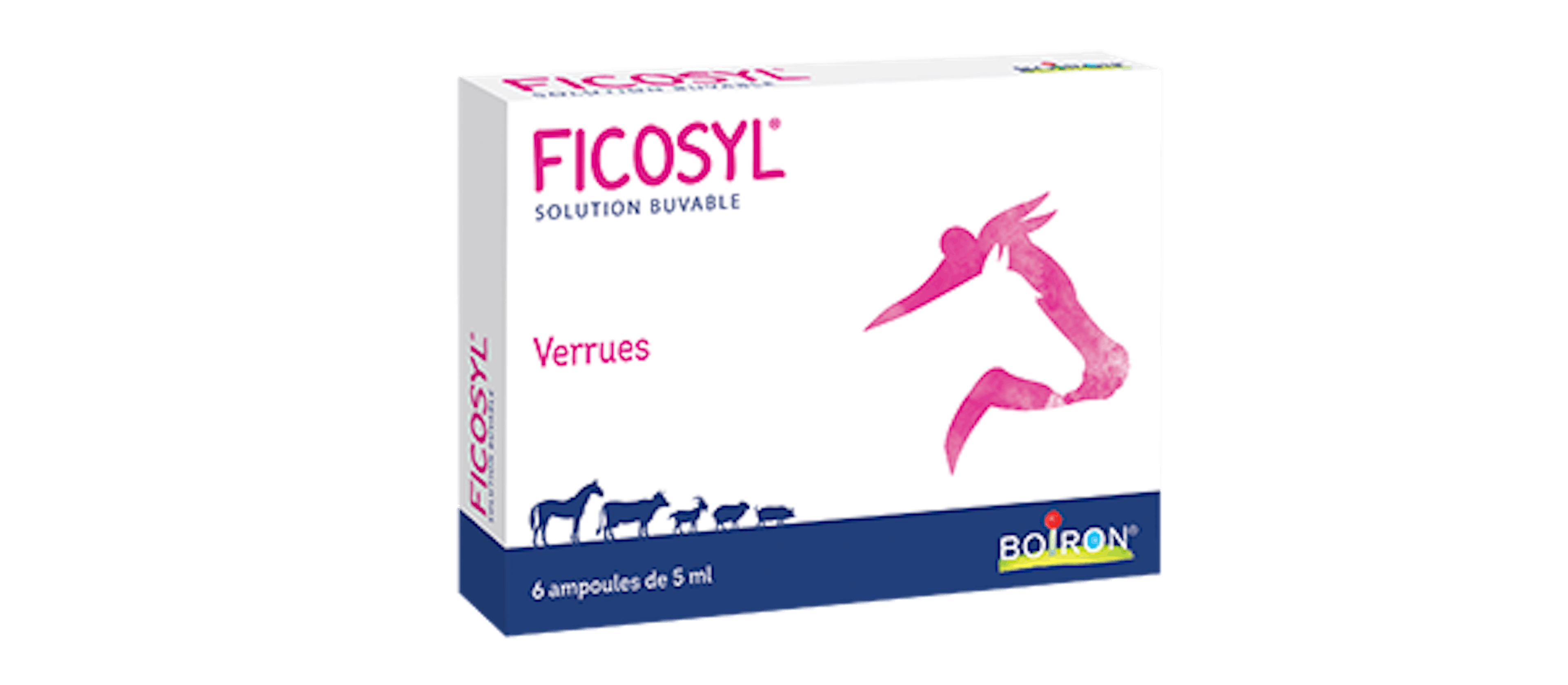 Ficosyl Boiron